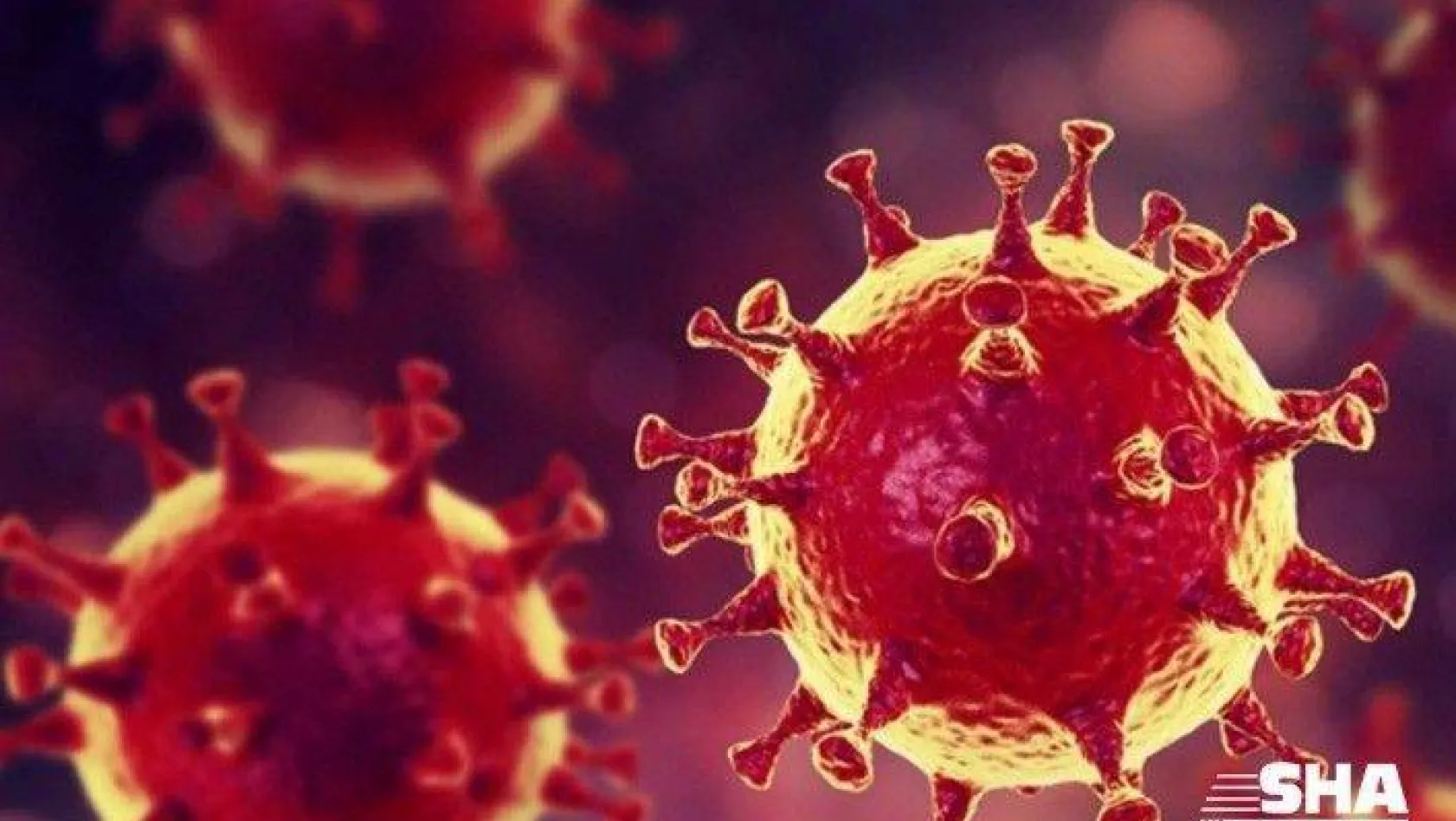 Koronavirüs hakkında çıkan haber sayısı 21 milyonu aştı