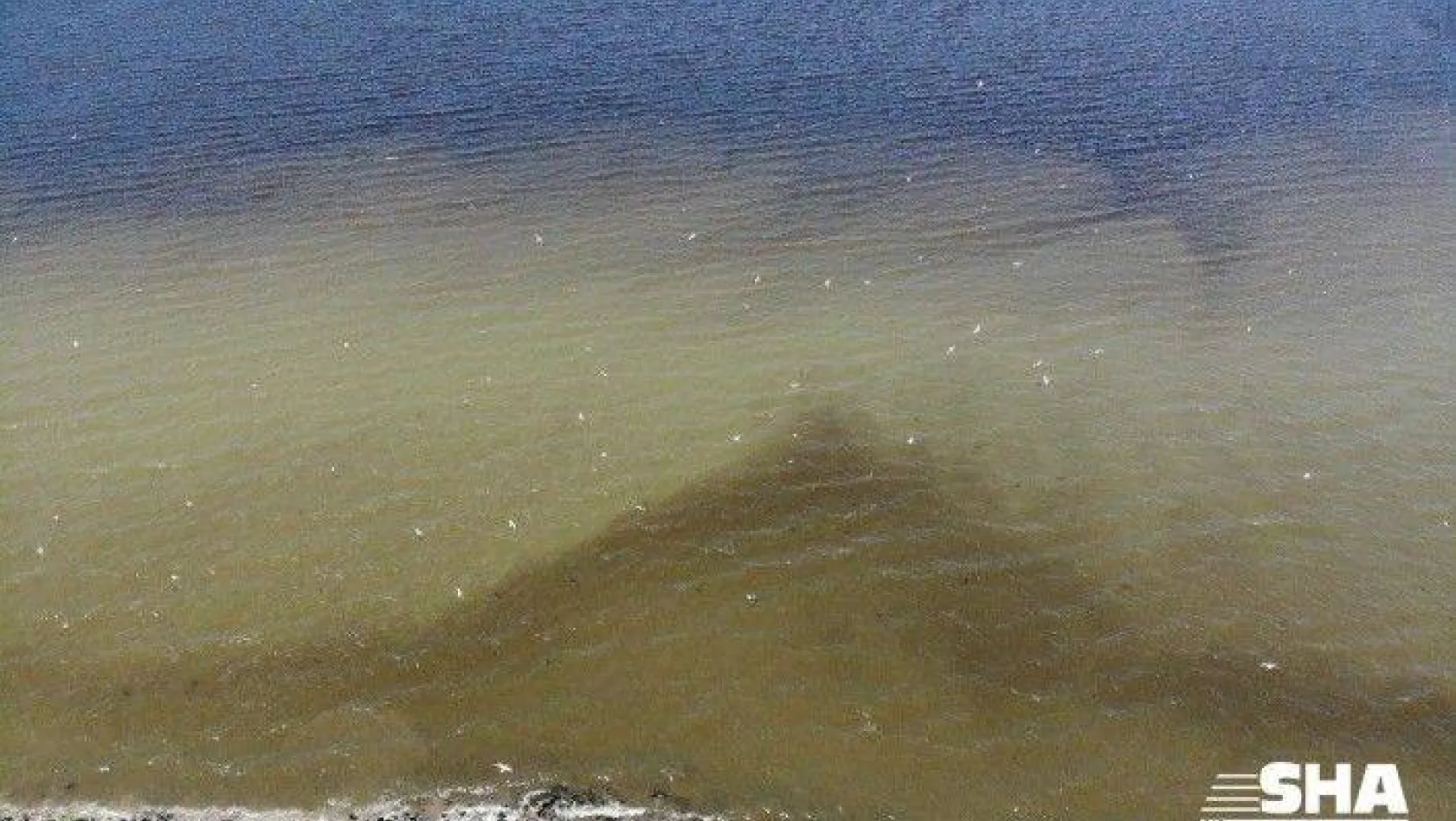 Küçükçekmece Gölü'nde oluşan kirlik havadan görüntülendi