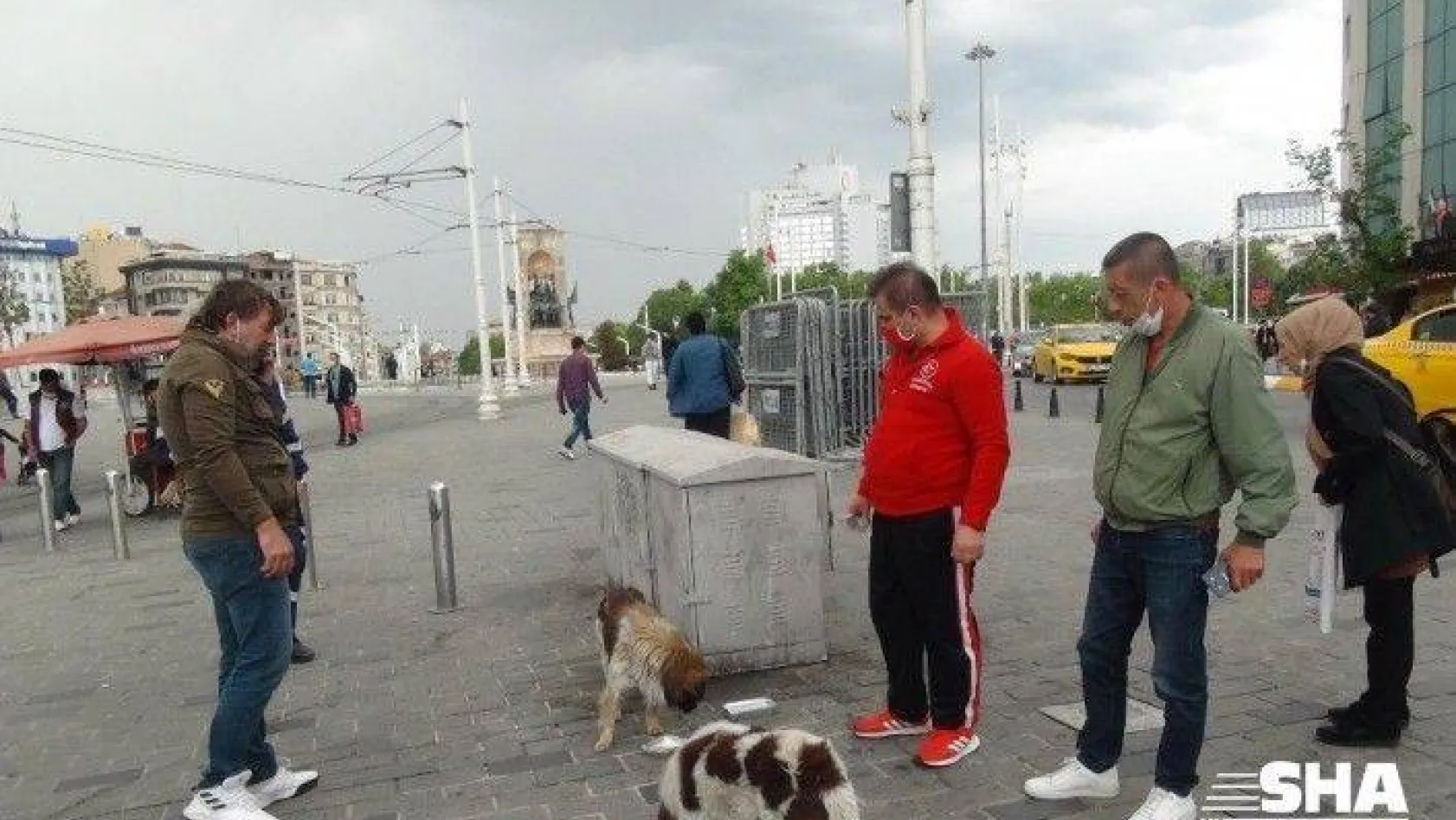 (ÖZEL) Taksim'de ayağı kırılan köpek için vatandaşlar seferber oldu