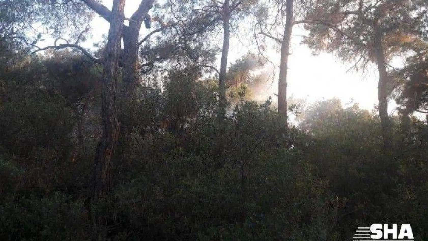 Büyükada'daki orman yangını  kontrol altına alındı
