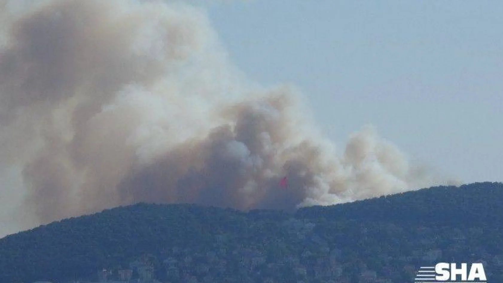 Heybeliada'da orman yangını