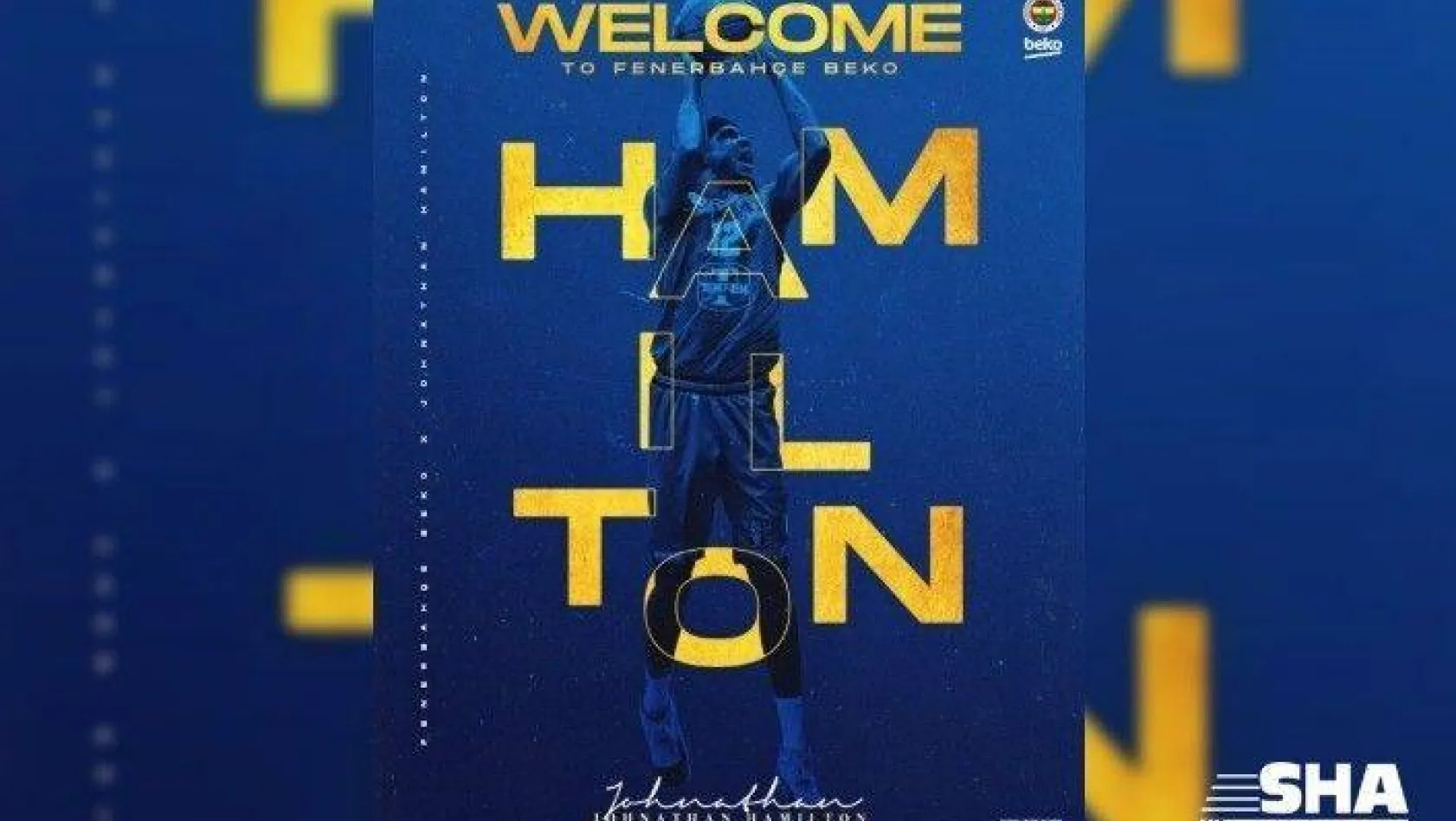 Johnathan Hamilton, Fenerbahçe'de