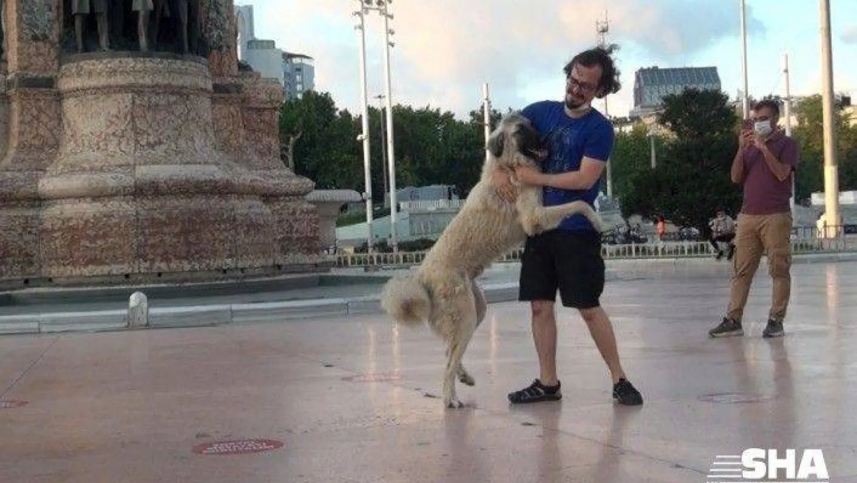 (Özel) Önce sevdi, sonra kaçtı: Taksim'de vatandaşın köpekle imtihanı