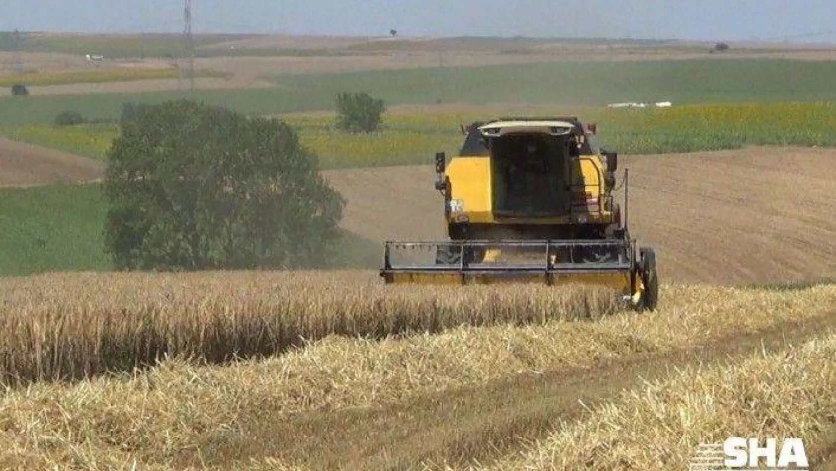 Silivri'de üreticilere 10 milyonluk tohum desteği