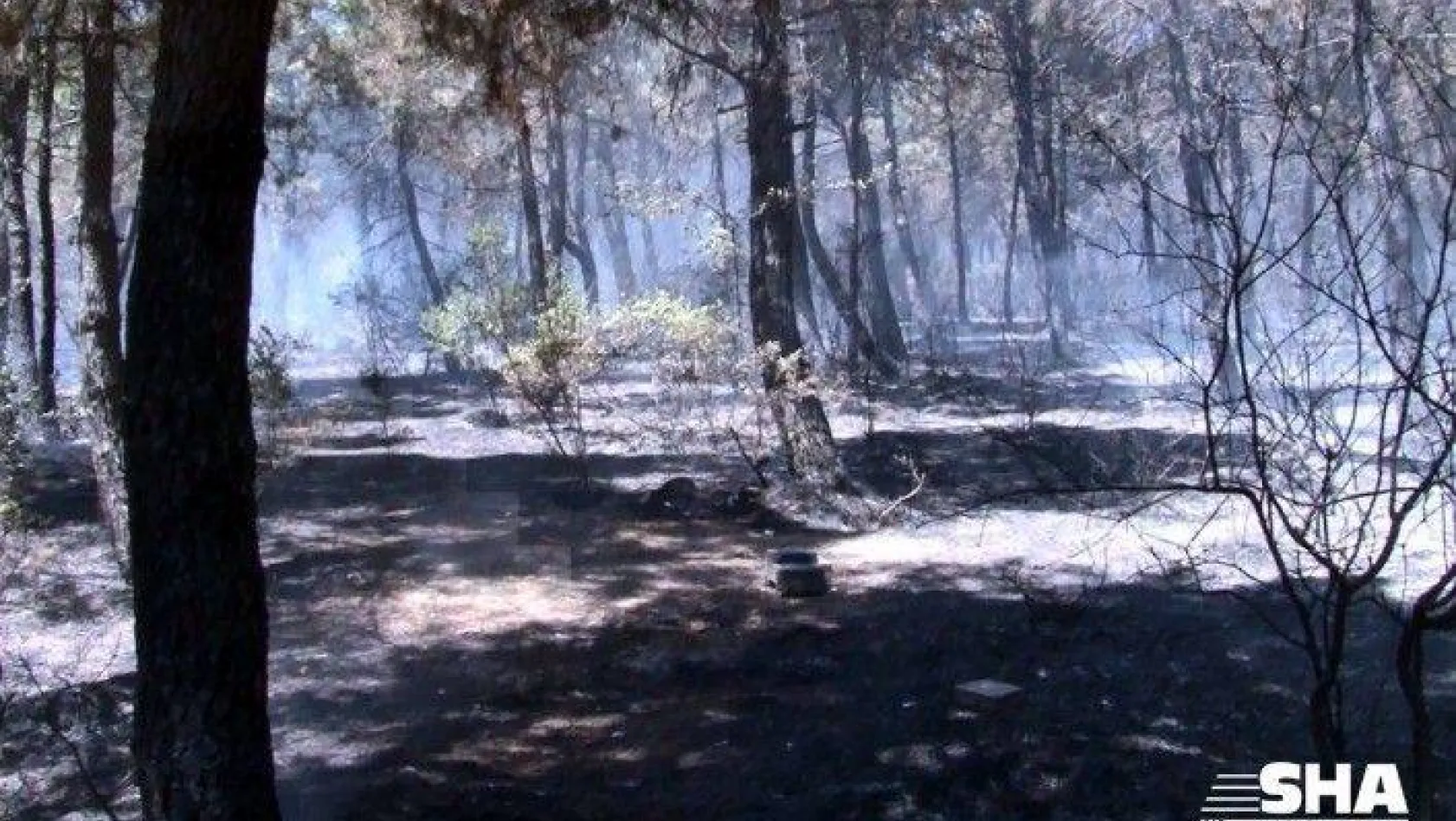 Aydos Ormanında çıkan yangın kontrol altına alındı