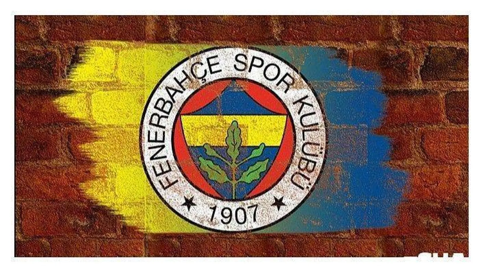 Fenerbahçe'de 2 pozitif vaka