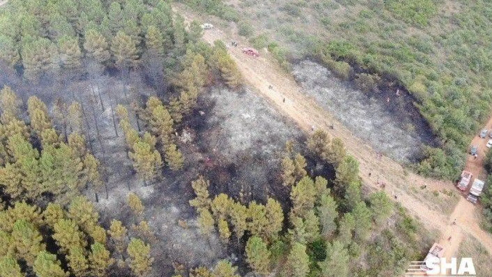 İstanbul'da Aydos Ormanı'nda çıkan yangın kontrol altına alındı
