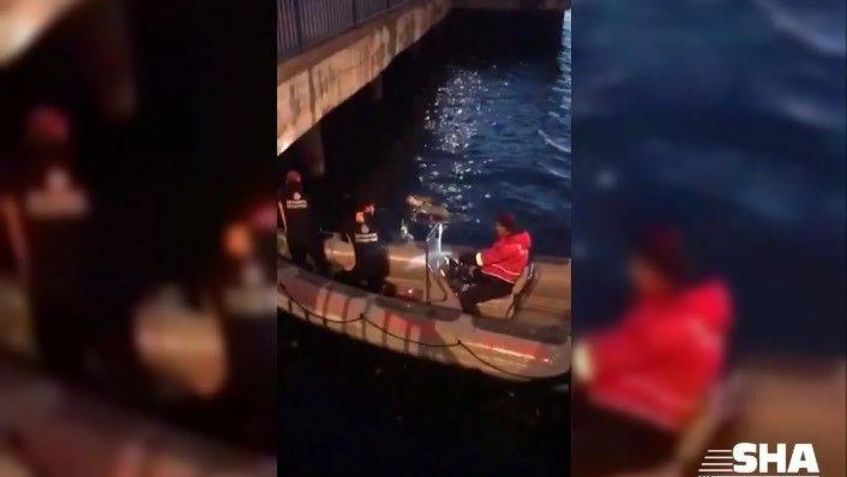 Kadıköy'de balıkçı misinasına takılan 2 martı kurtarıldı