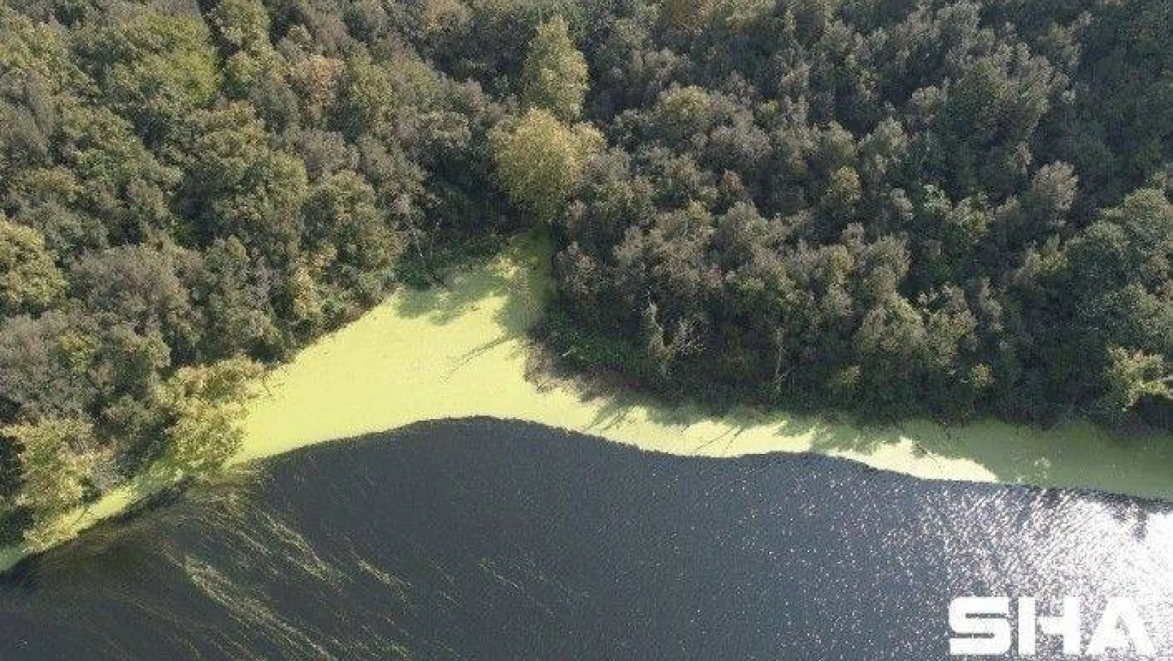 İstanbul'da ürküten manzara Elmalı Barajı'nın suyu yine yeşile döndü