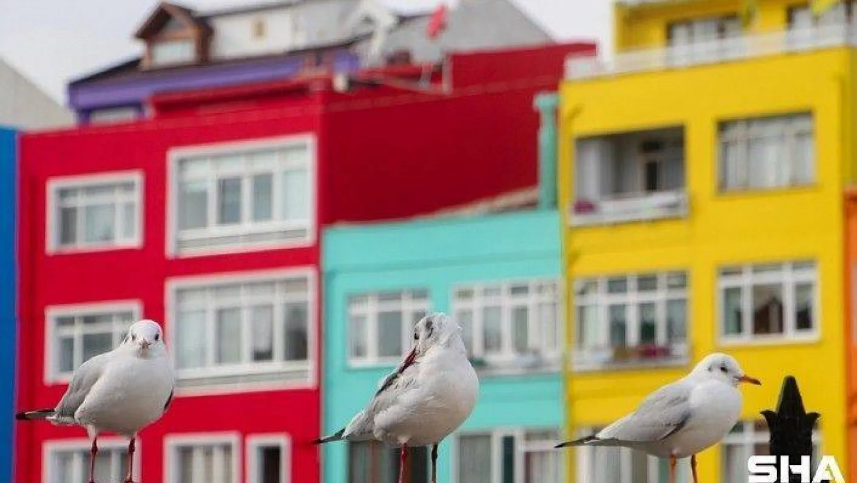 Silivri'den Sonra İstanbul'un da Duvarlarına Renk Geliyor