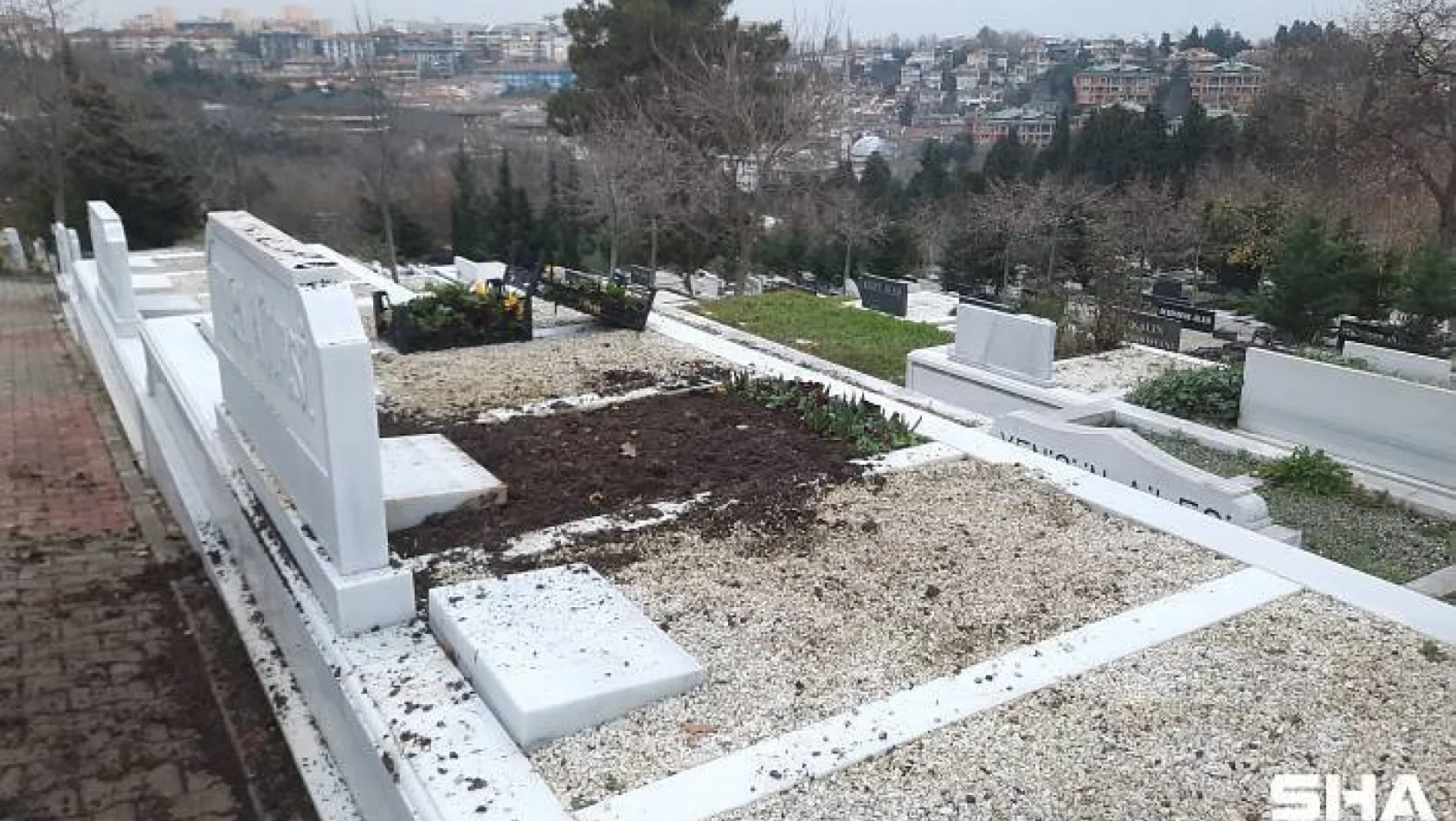 İş adamı Şarık Tara'nın mezarı babalık davası nedeniyle açıldı