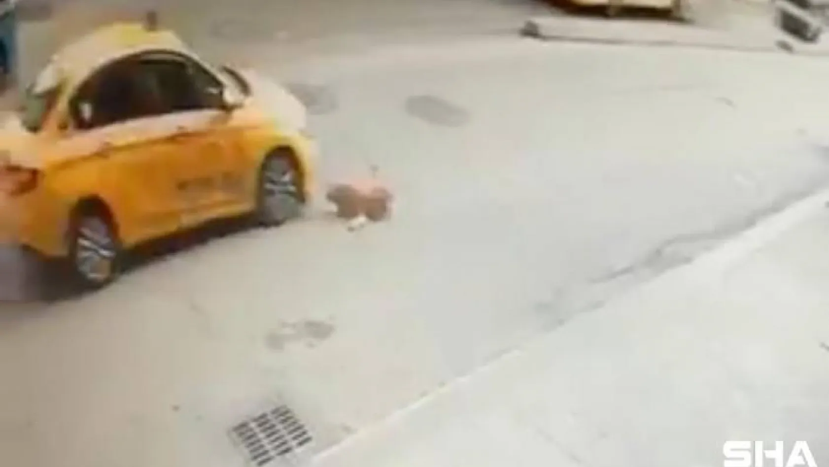 (Özel) Pendik'te köpeğe çarpan taksici kaçtı