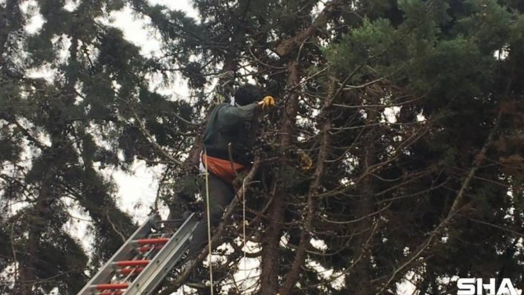 Ağaç budamaya çıkan işçi elektrik akımına kapıldı