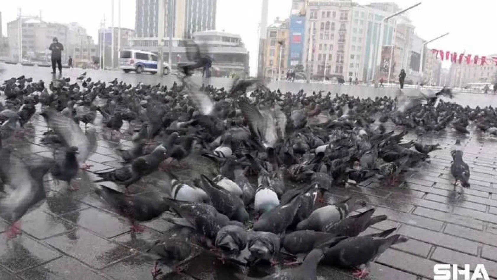 Beyaza bürünen Taksim kuşlara kaldı