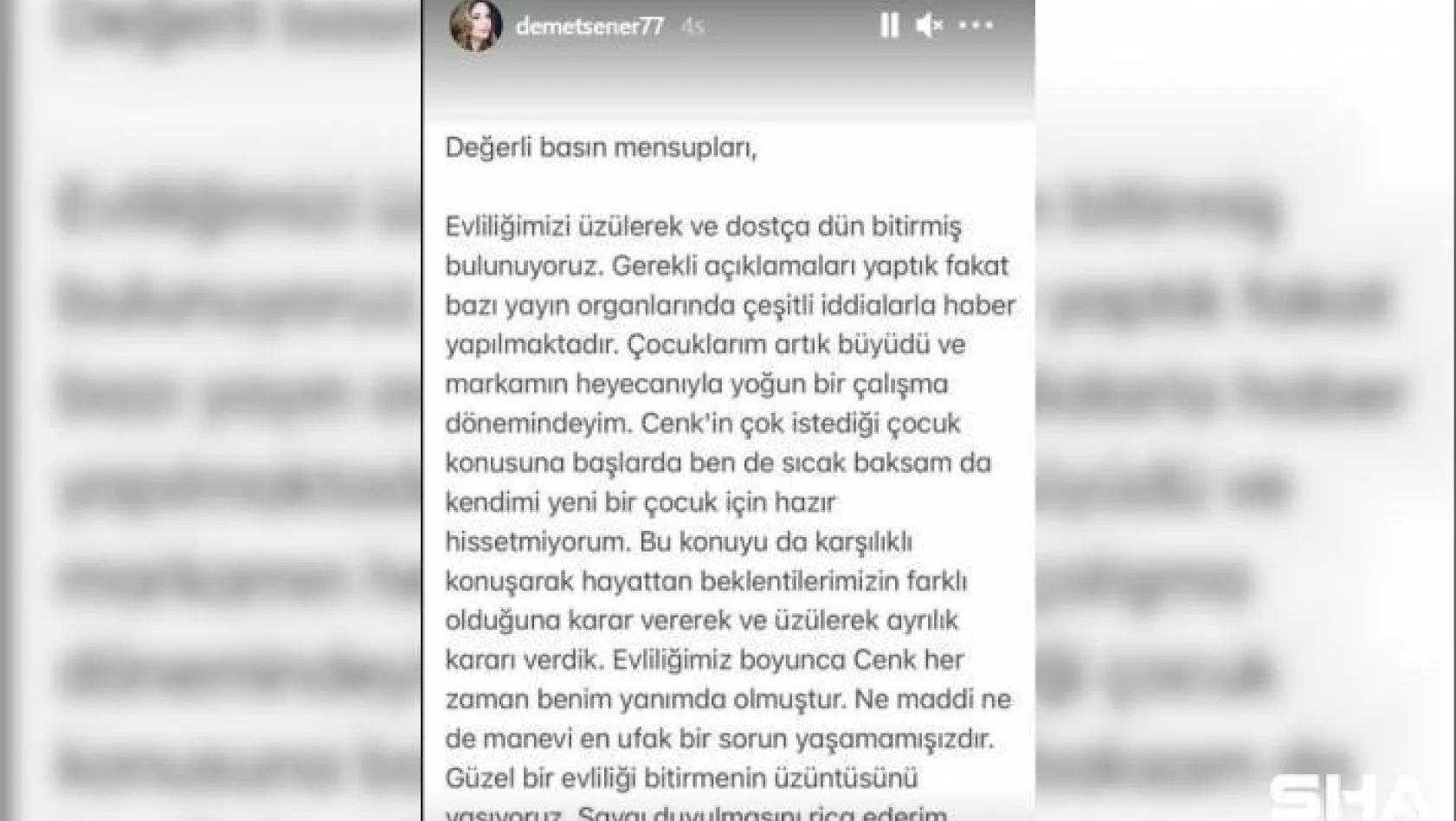 Demet Şener'den boşanma açıklaması