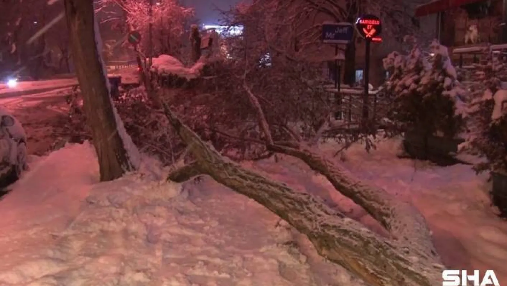 Anadolu Yakası'nda yoğun kar yağışından dolayı ağaçlar devrildi