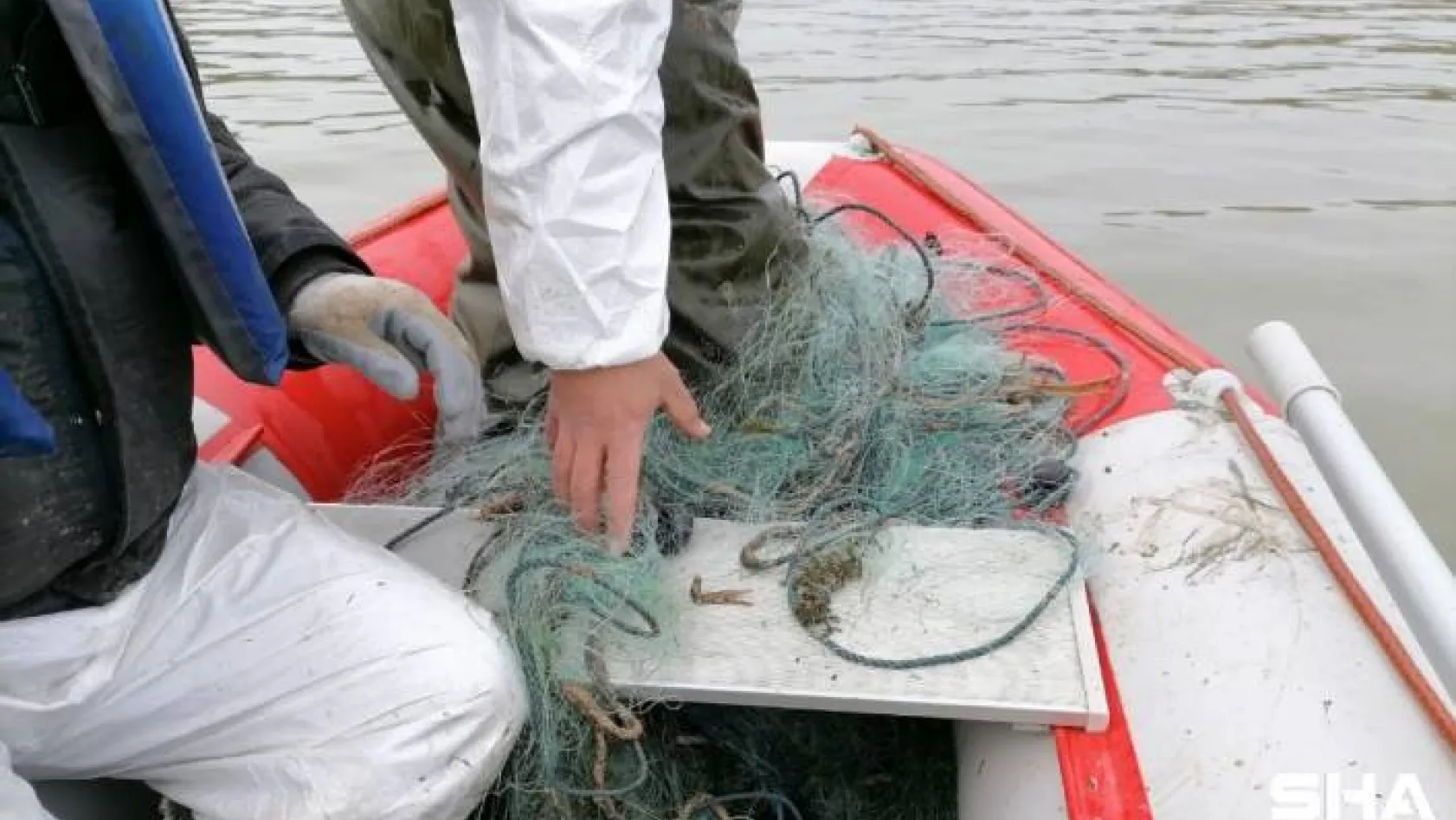 Kaçak olarak avlanan 750 kg canlı balık suya bırakıldı