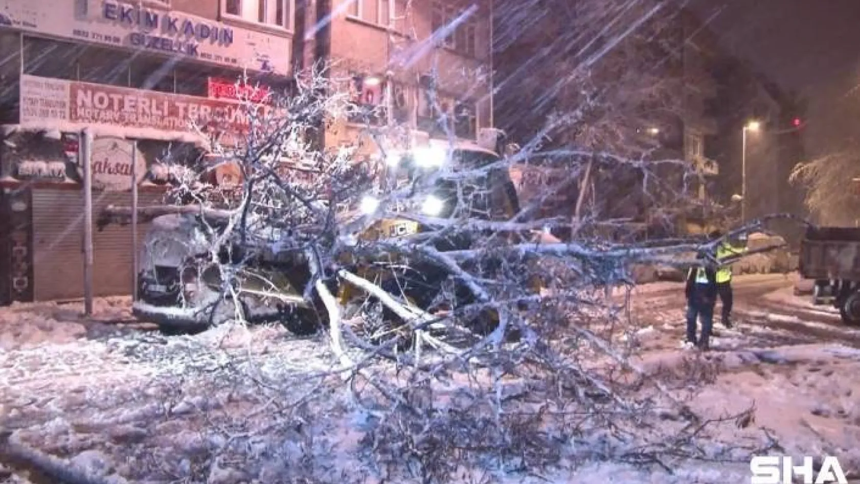 Kağıthane'de yoğun kar yağışı nedeniyle yol kenarındaki ağaç devrildi