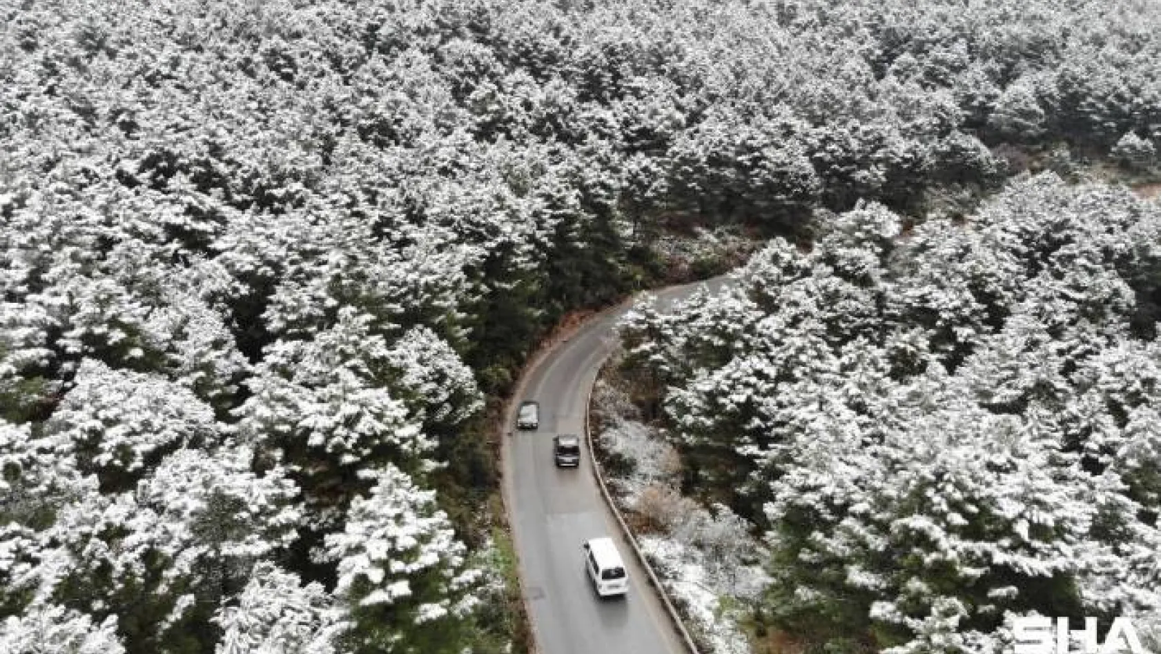 Kar yağışı sonrası Aydos Ormanı'nda kartpostallık görüntüler oluştu