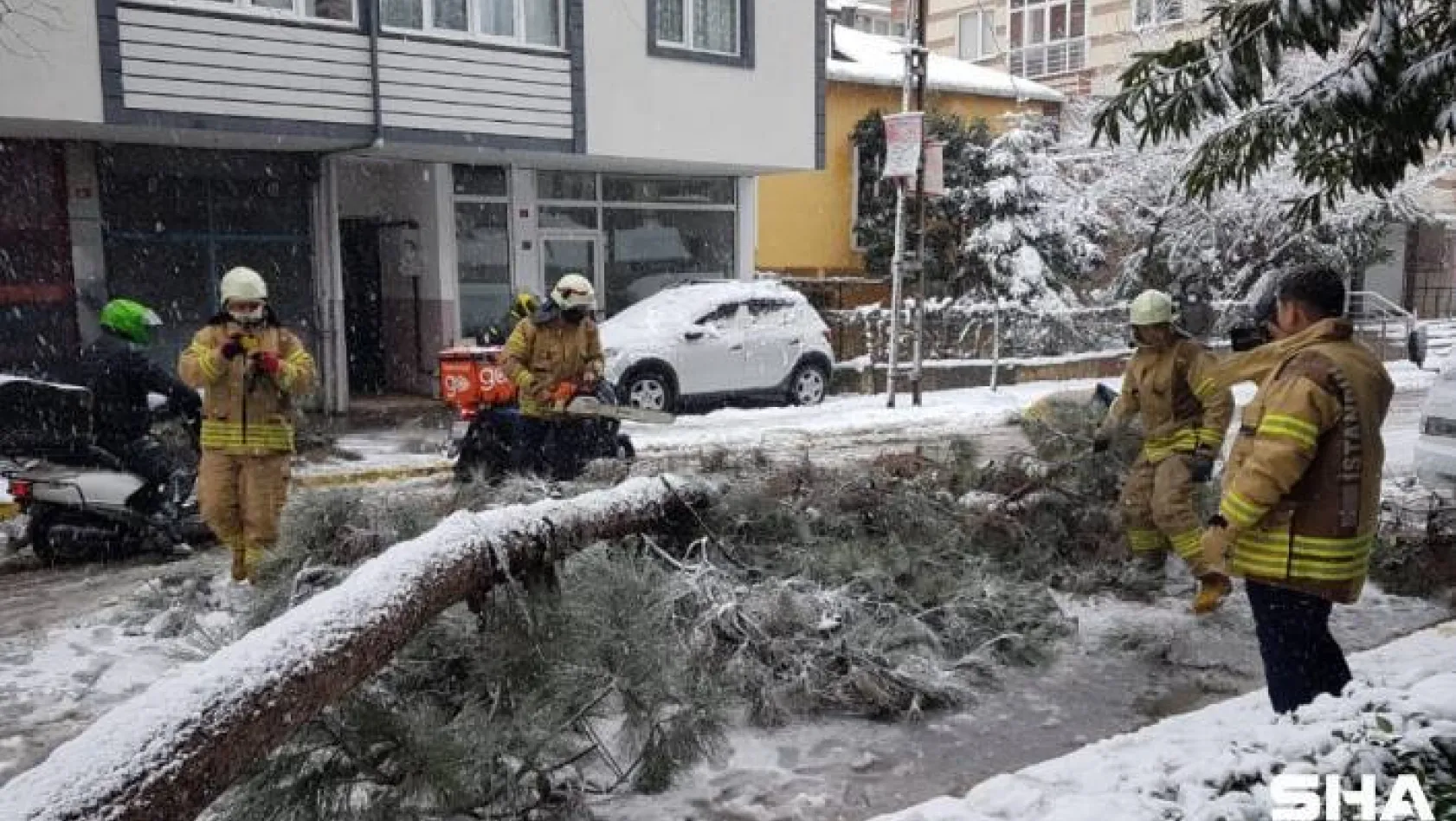 Sancaktepe'de devrilen ağaç yolu kapadı