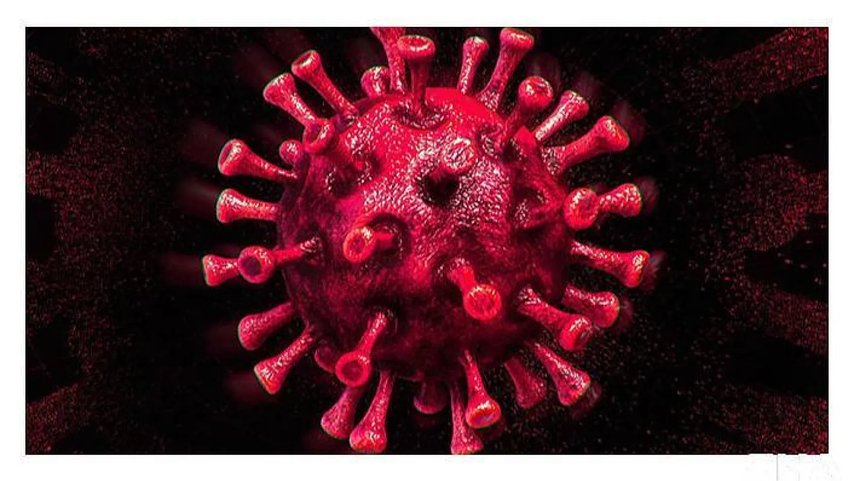 Türkiye'de son 24 saatte 7.945 koronavirüs vakası tespit edildi