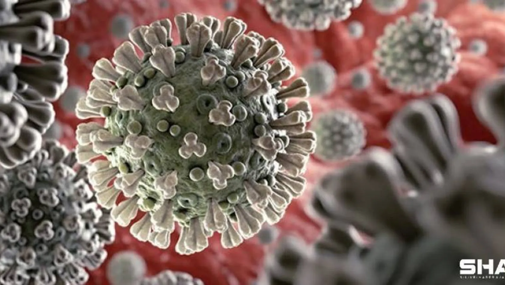 Türkiye'de son 24 saatte 7.325 koronavirüs vakası tespit edildi