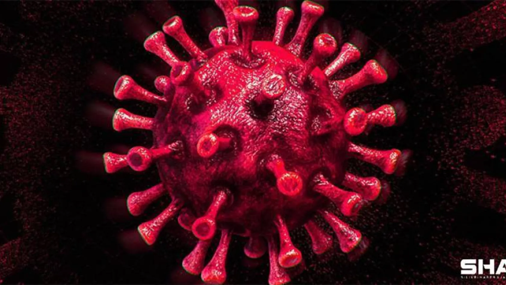 Türkiye'de son 24 saatte 8.642 koronavirüs vakası tespit edildi
