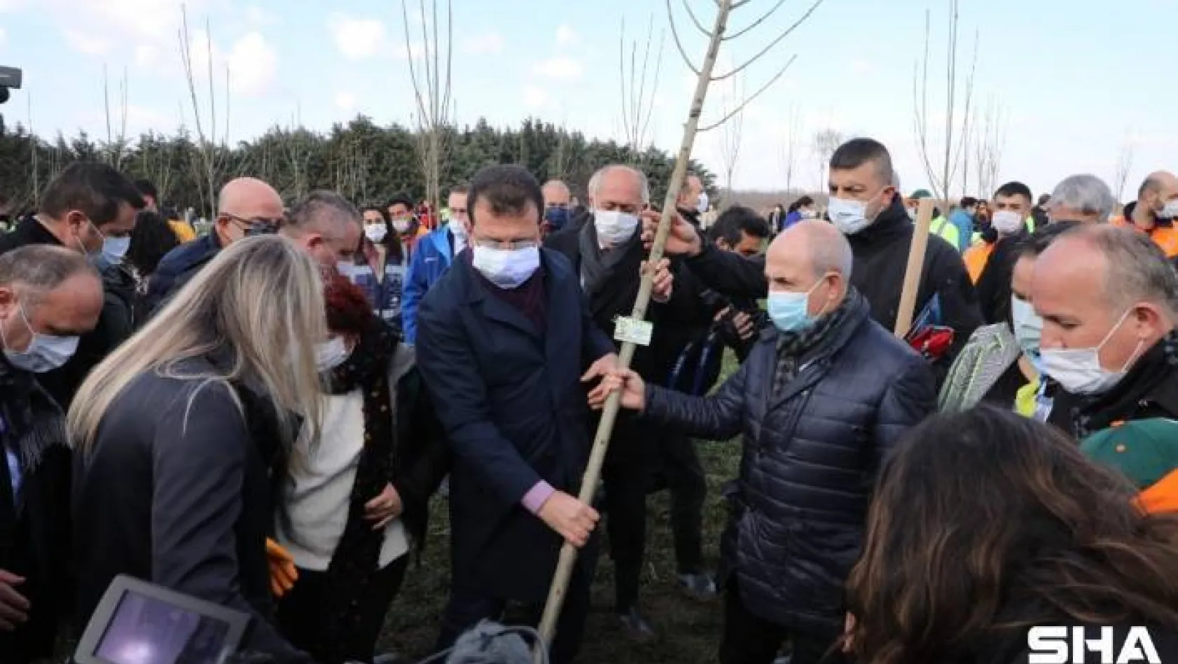 Başkan Akgün, 8 Mart Hatıra Ormanı'na ağaç dikti