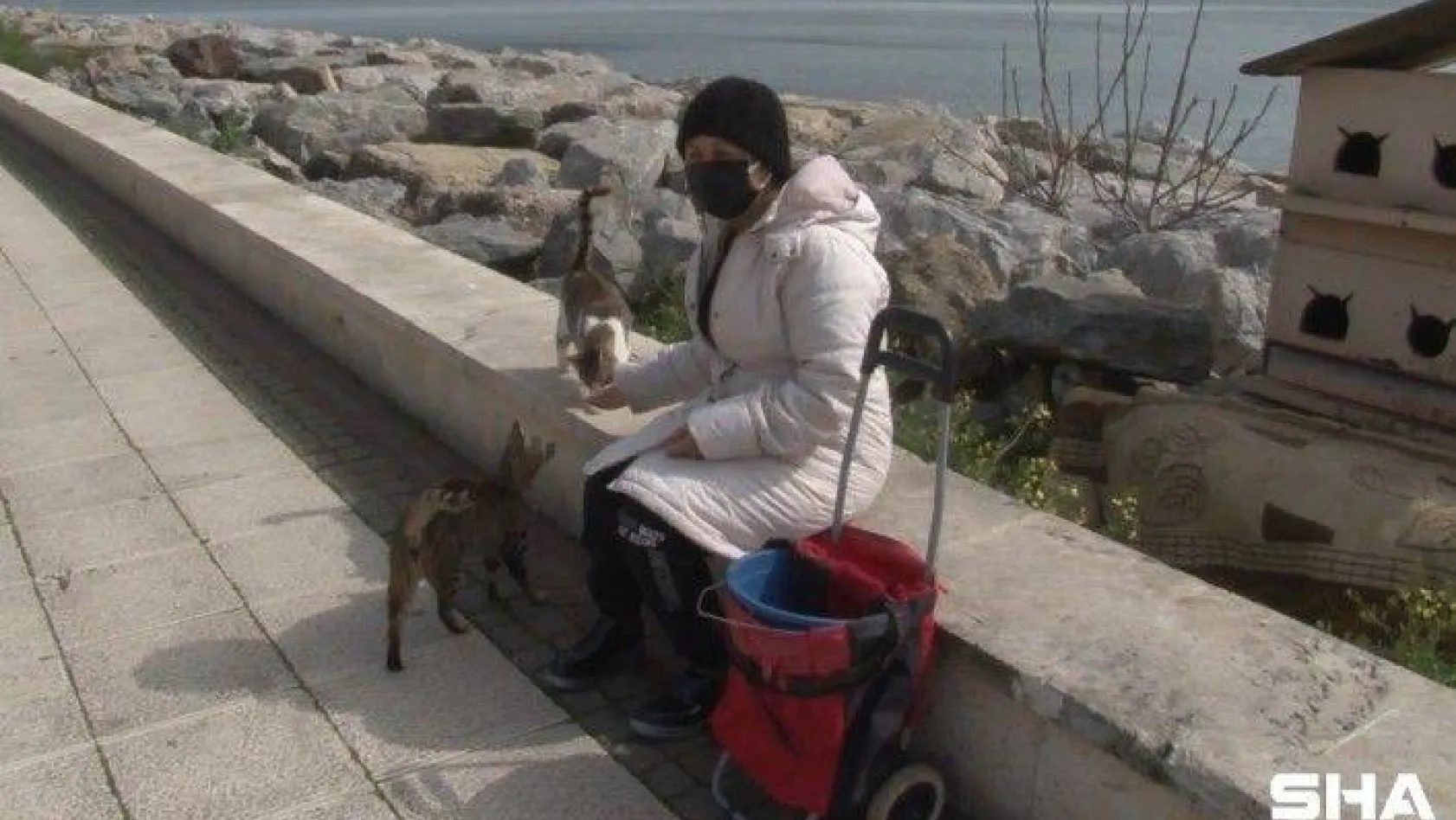 (Özel) Pendik'te kısıtlama günü sokak hayvanlarını unutmadı, tek tek besledi