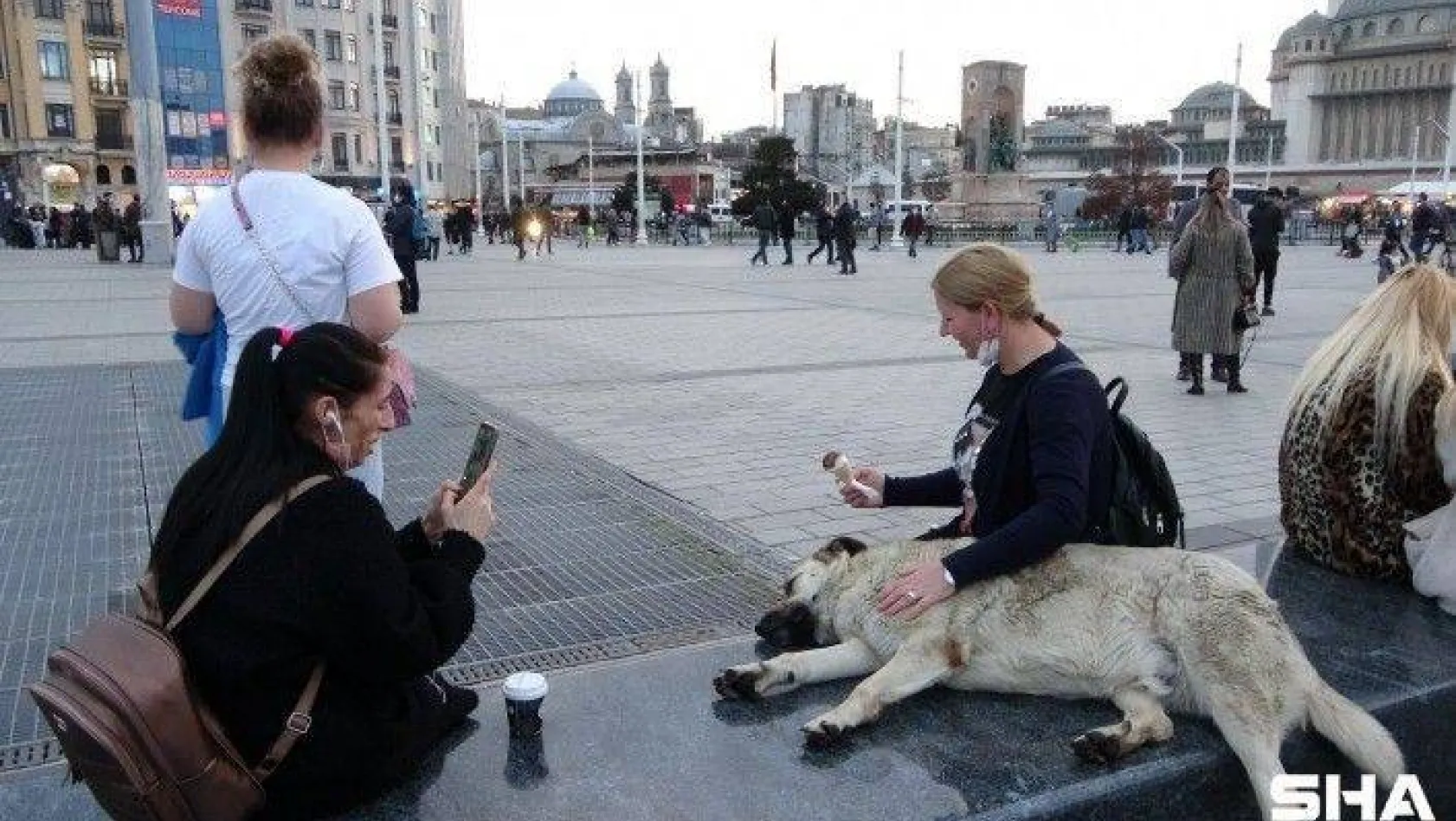 Taksim'de köpeğin turistlerle dondurma keyfi