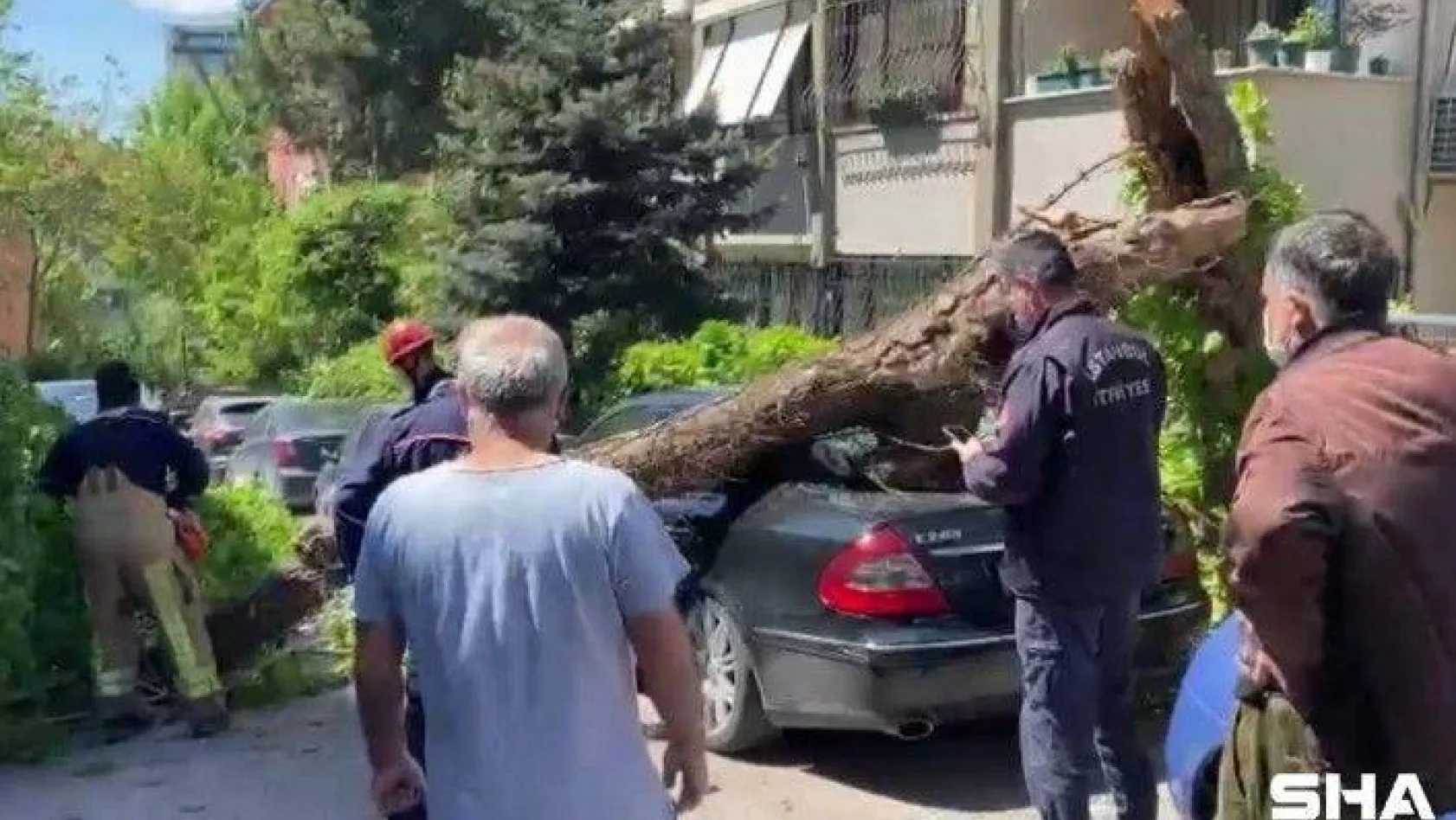 Kadıköy'de otomobillerin üzerine ağaç devrildi