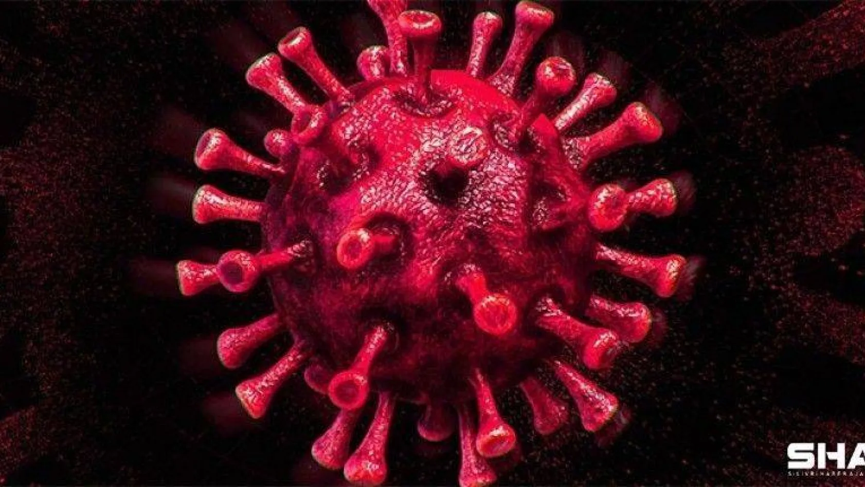 Koronavirüste son veriler açıklandı!