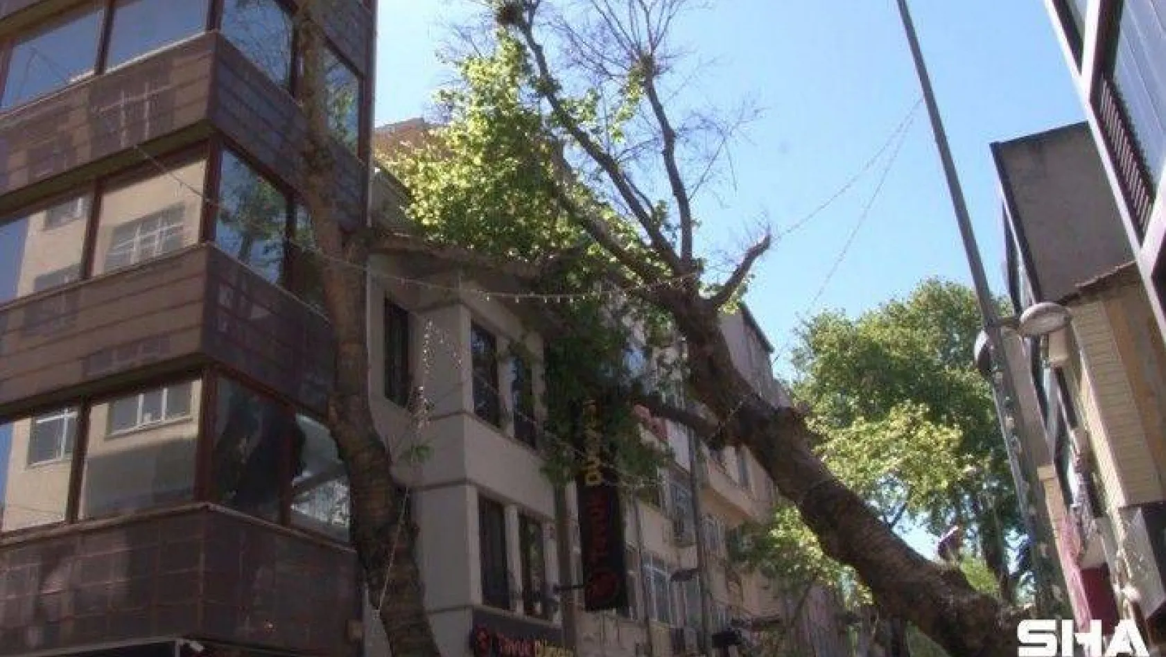 (Özel) Kartal'da asırlık ağaç iş yerinin çatısına devrildi