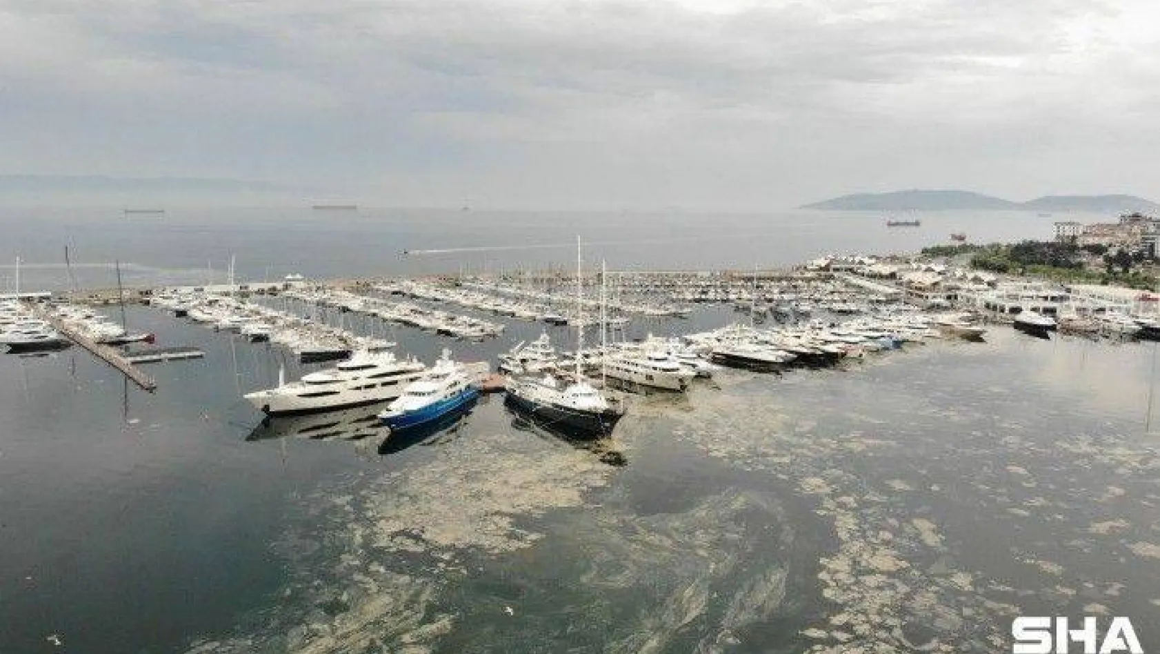 Pendik Marinada denizi kaplayan deniz salyaları havadan görüntülendi