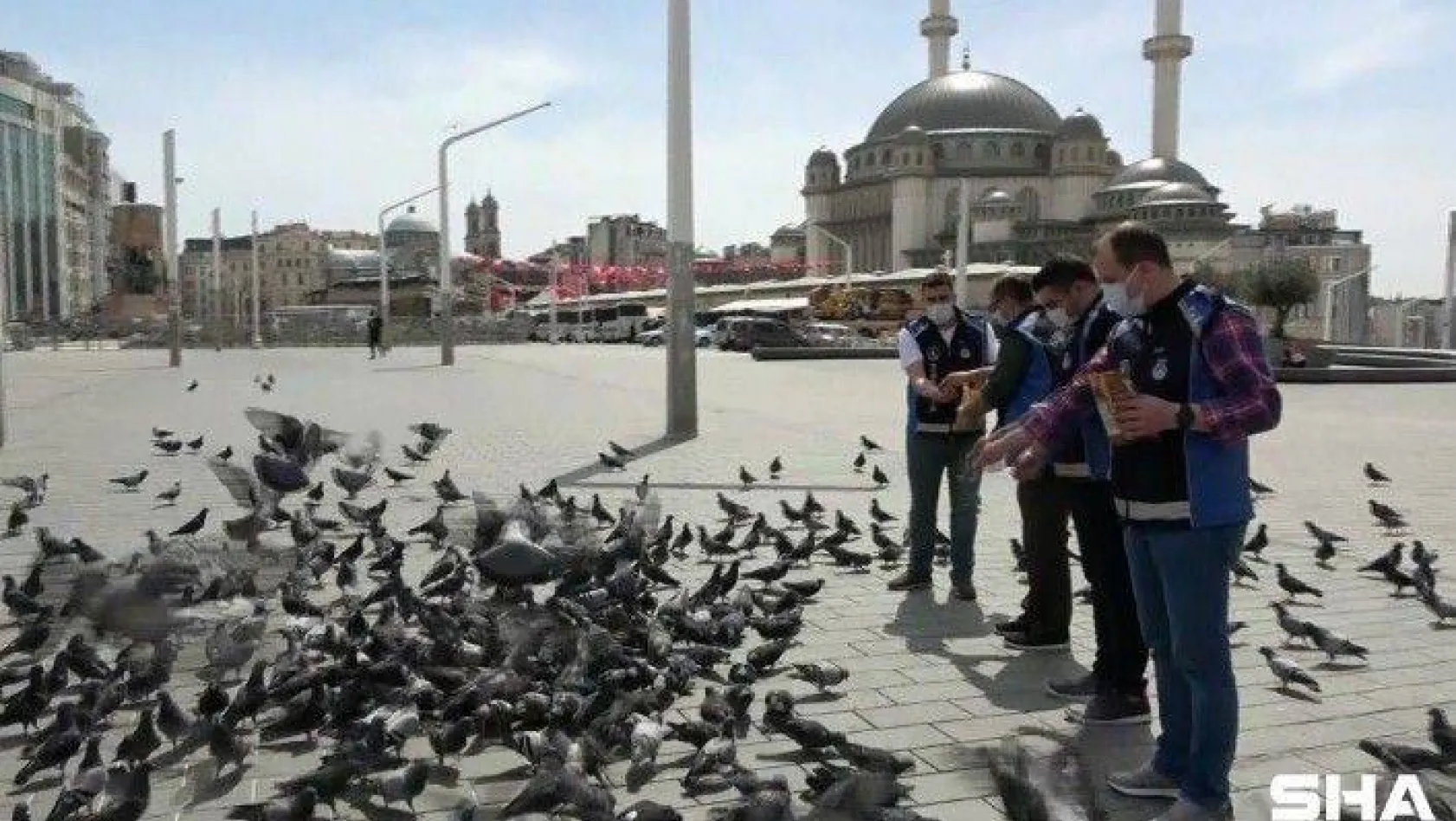 Taksim meydanı 1 Mayısta kuşlara kaldı