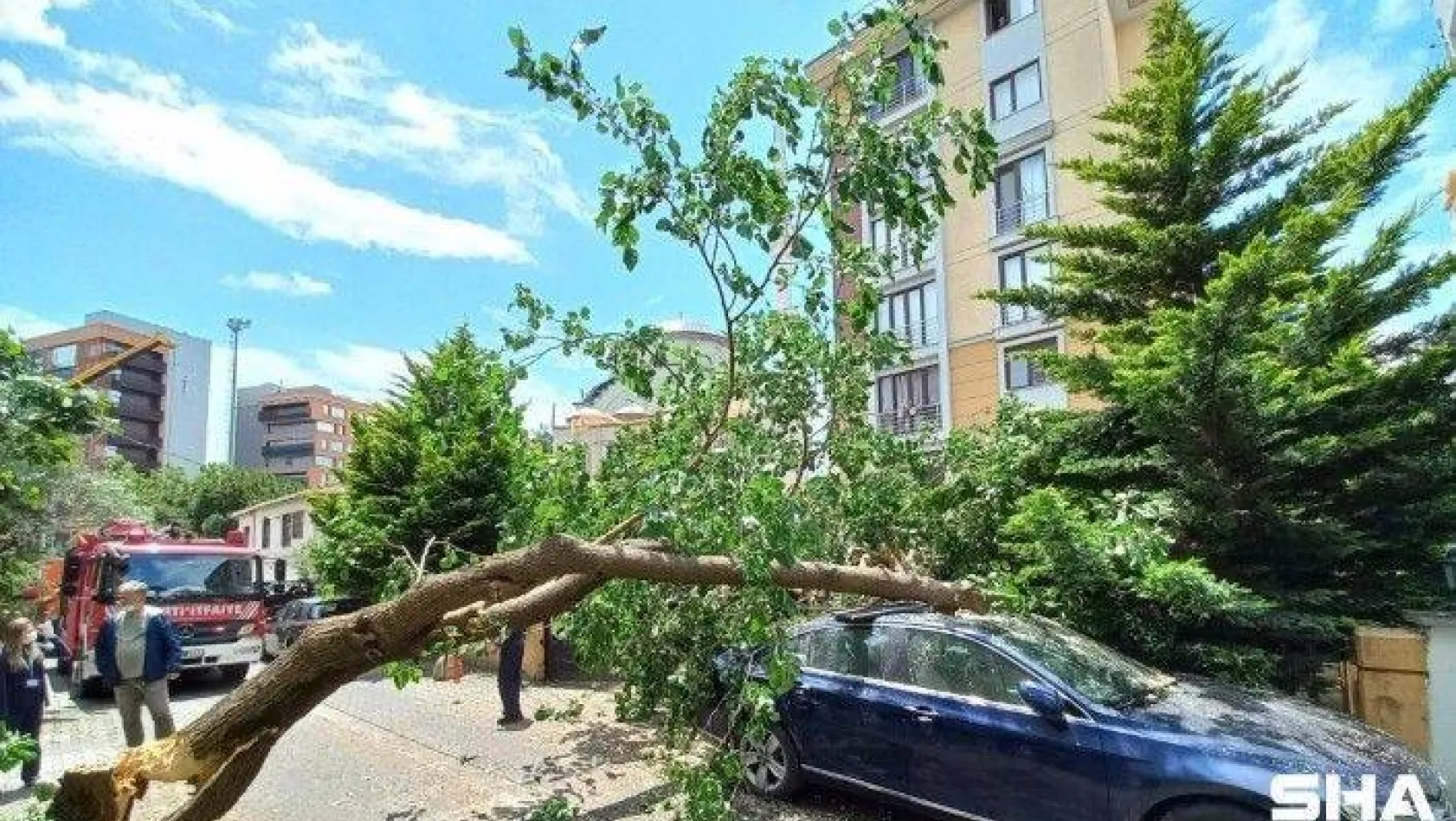 Ataşehir'de çürüyen ağaç arabanın üstüne devrildi