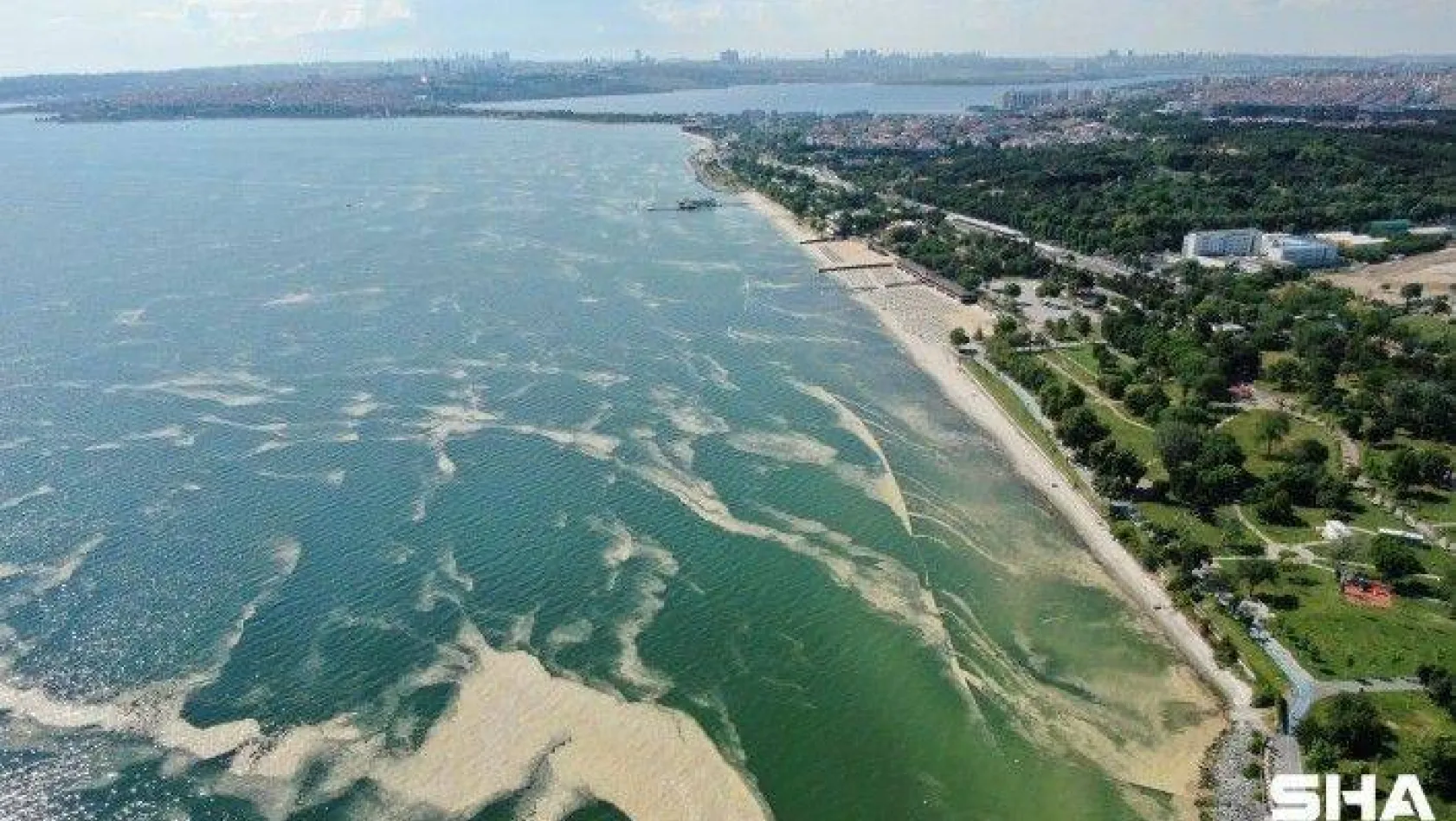 Deniz salyası bu kez Bakırköy kıyılarını sardı