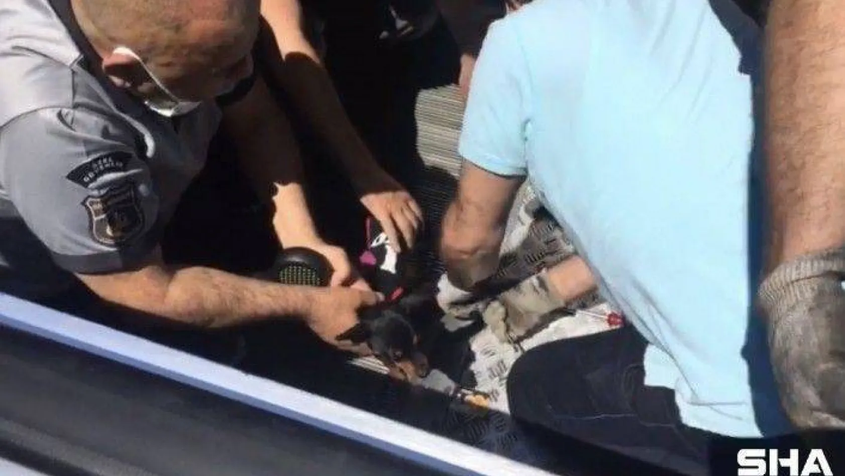 (ÖZEL) Şişli'de ayağı yürüyen merdivene sıkışan süs köpeğini kurtarma operasyonu