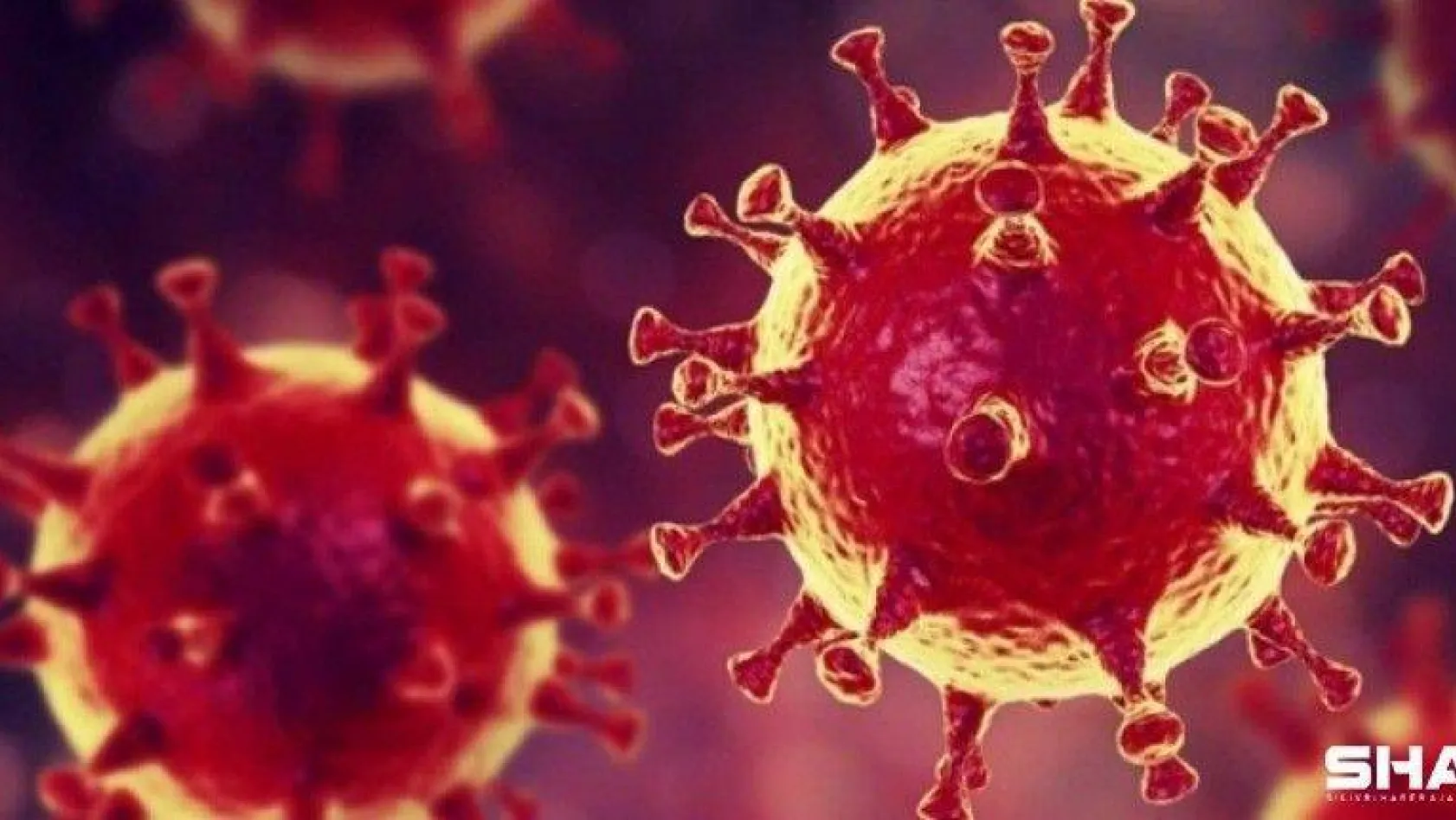 Türkiye'de son 24 saatte 6.454 koronavirüs vakası tespit edildi
