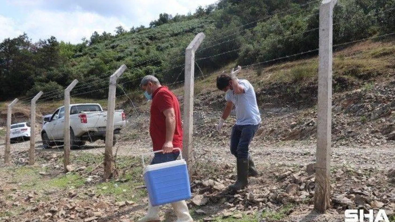 Alibeyköy Barajı'ndaki balık ölümleri ekipleri harekete geçirdi