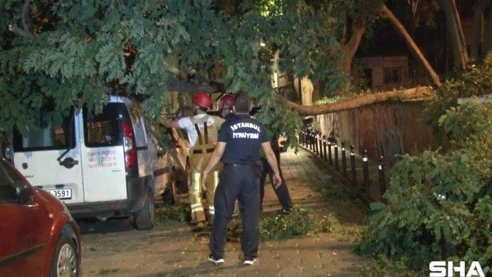Beşiktaş'ta hafif ticari aracın üstüne ağaç devrildi