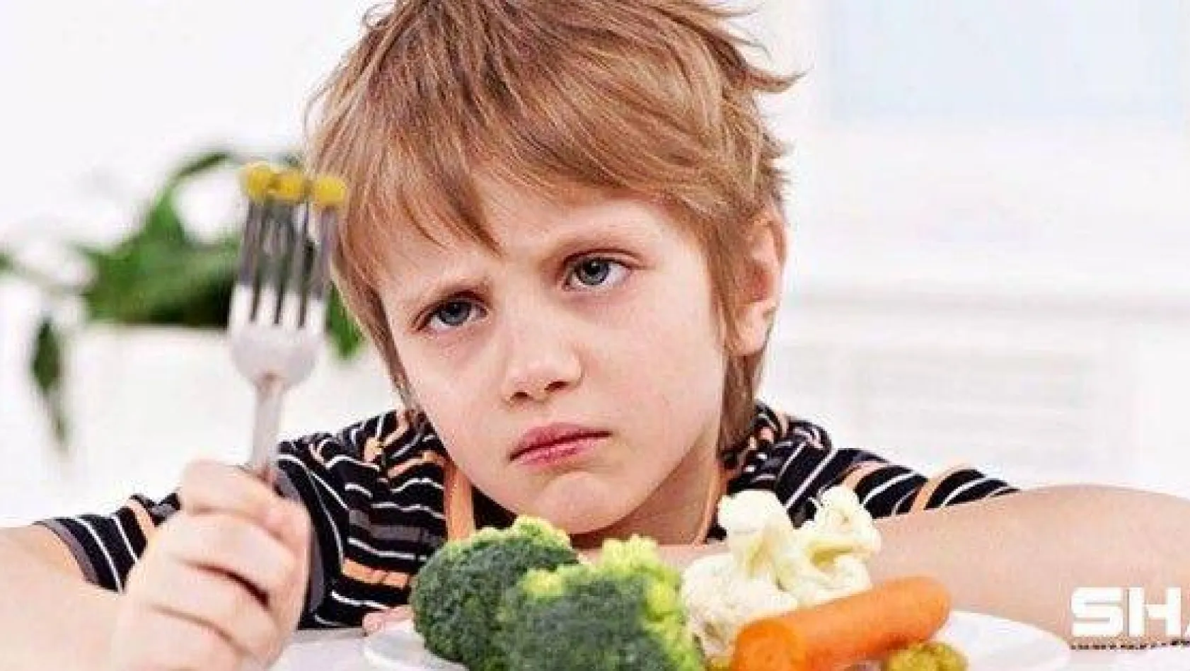 Çocuğunuz yemek yemiyorsa alternatif sunmayın