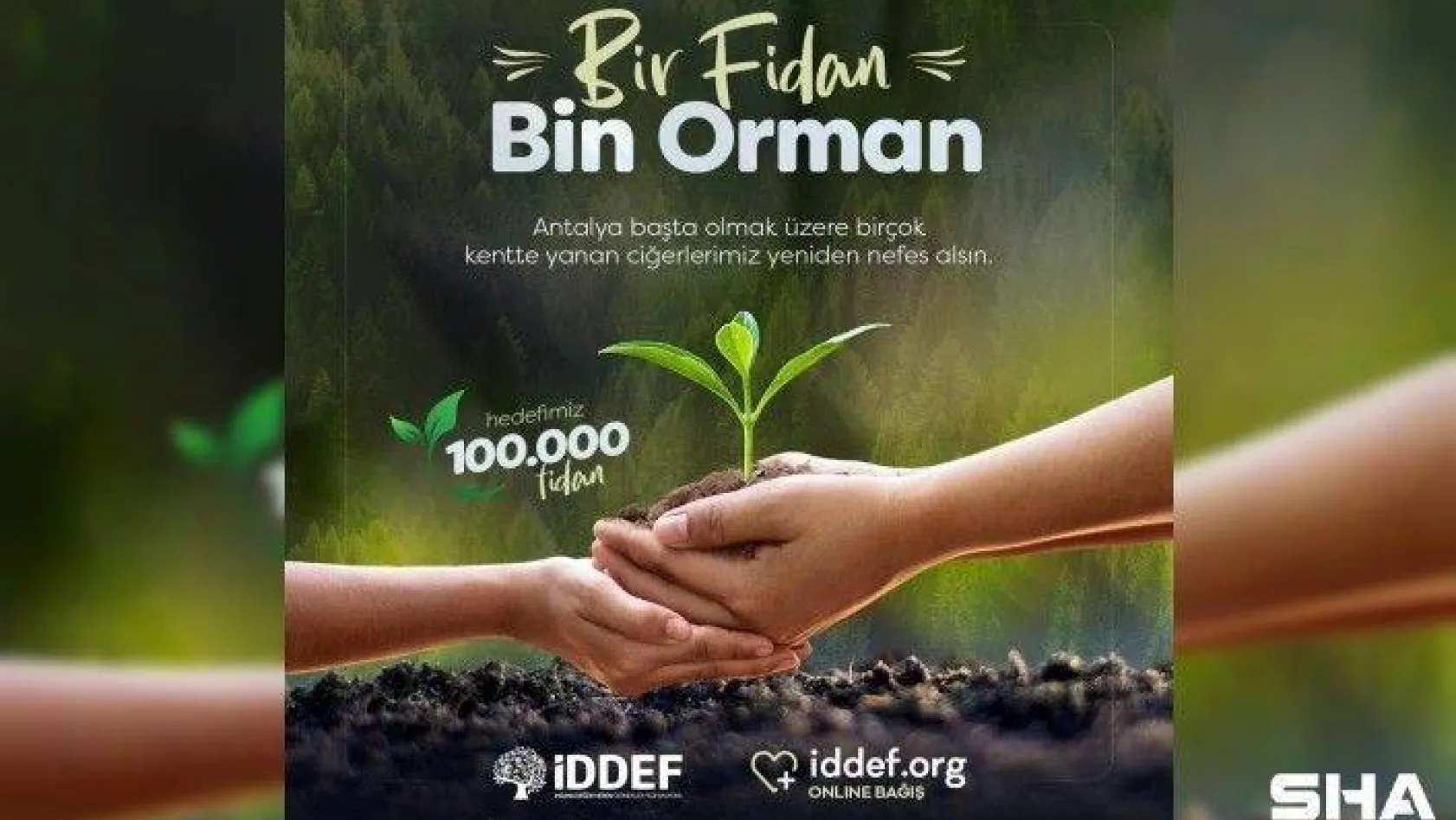 İDDEF'ten 'Bir Fidan Bin Orman' projesi