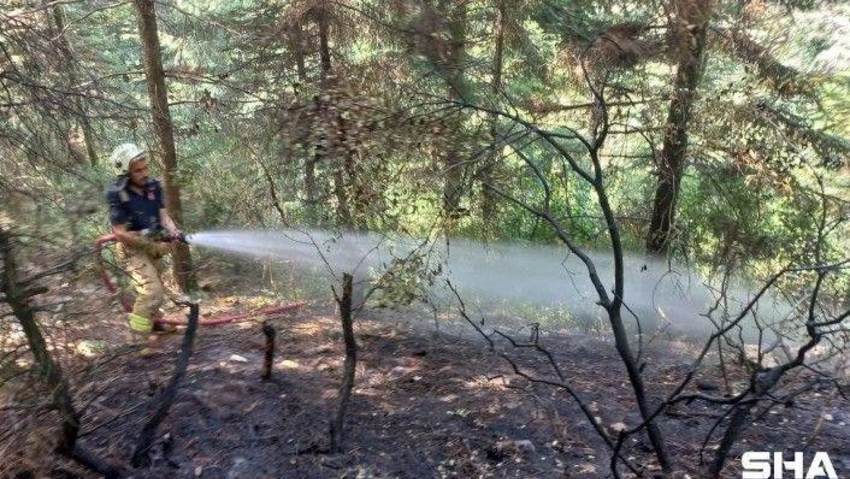 Aydos Ormanı'nda küçük çaplı yangın çıktı