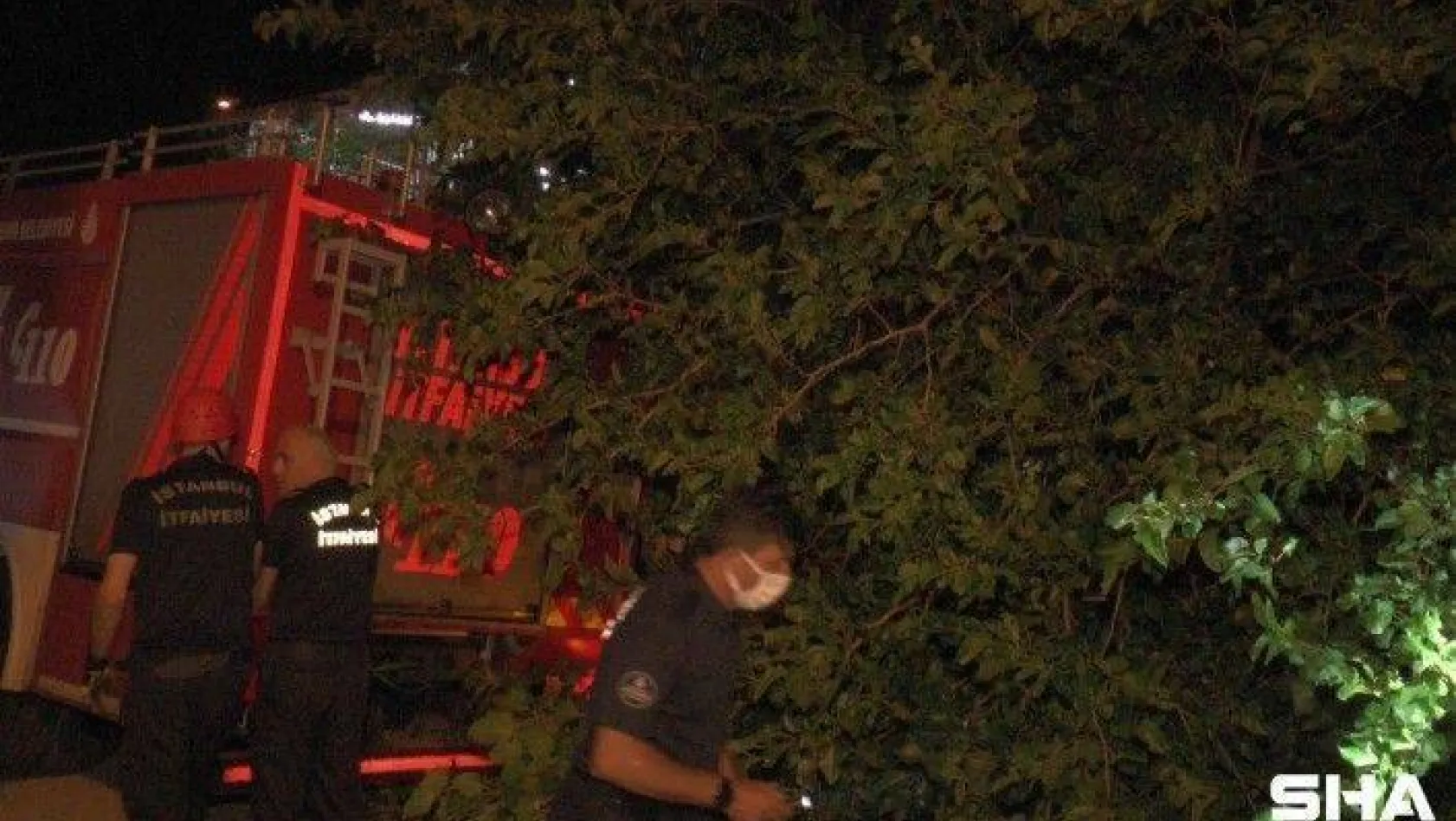 Kartal'da çürük dut ağacı park halindeki aracın üzerine devrildi