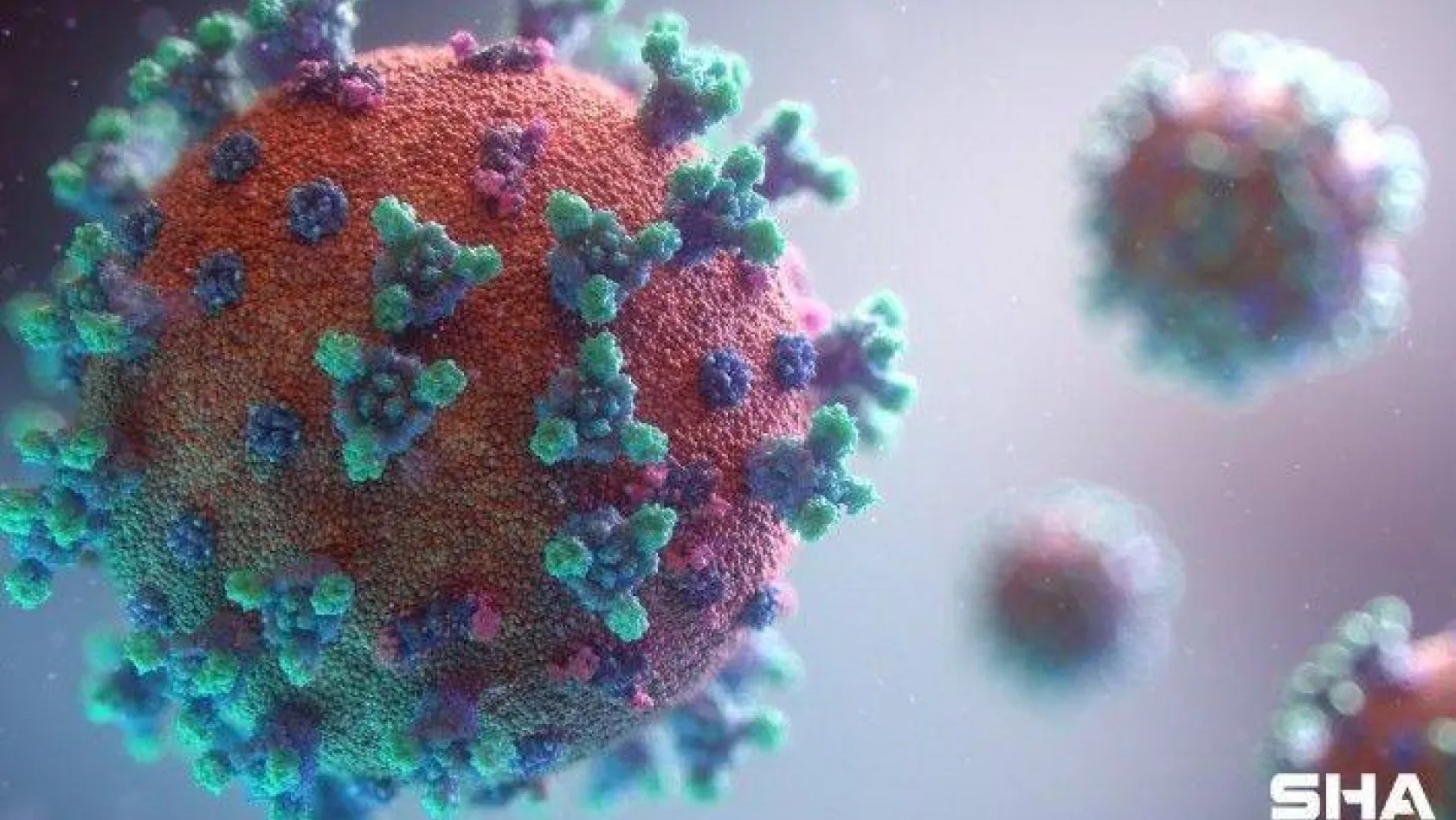 Koronavirüs 73 milyon 500'ün üzerinde haberde yer aldı