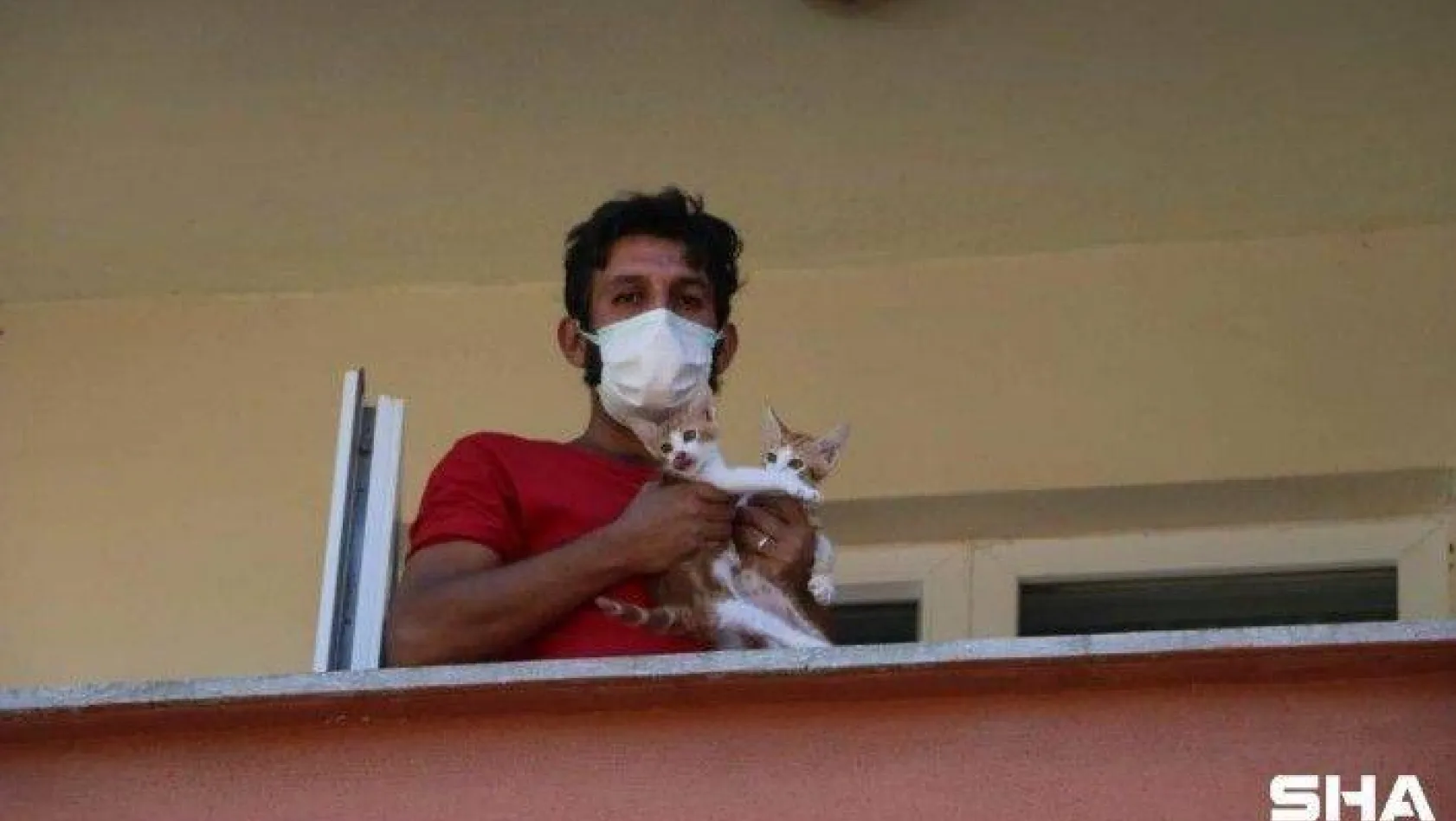 Sahiplerini kaybeden kedilere ilkyardım Kartal Belediyesi ekiplerinden geldi