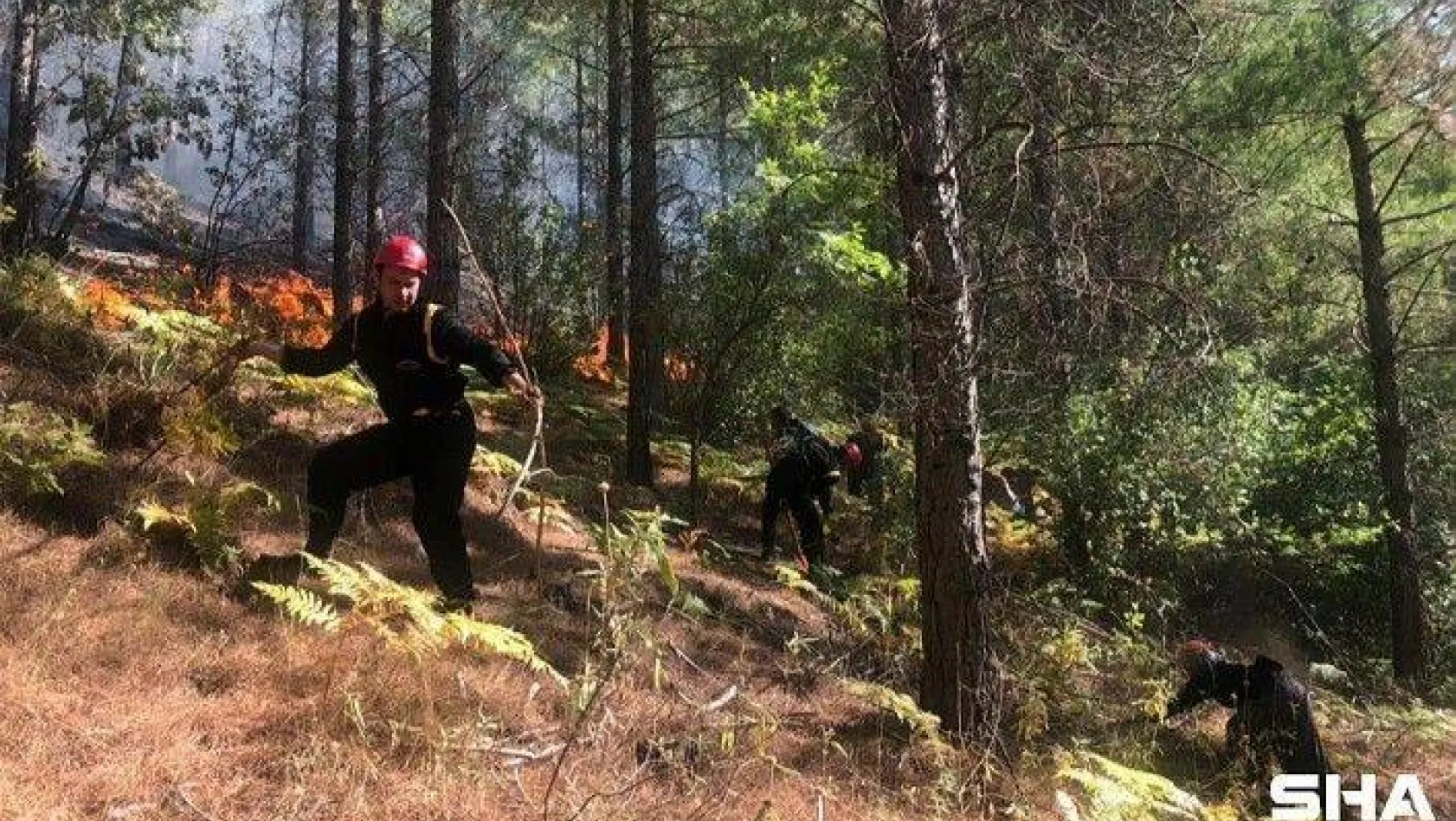 Silivri Belediyesi, Manavgat'taki Orman Yangınlarıyla Mücadelesini Sürdürüyor
