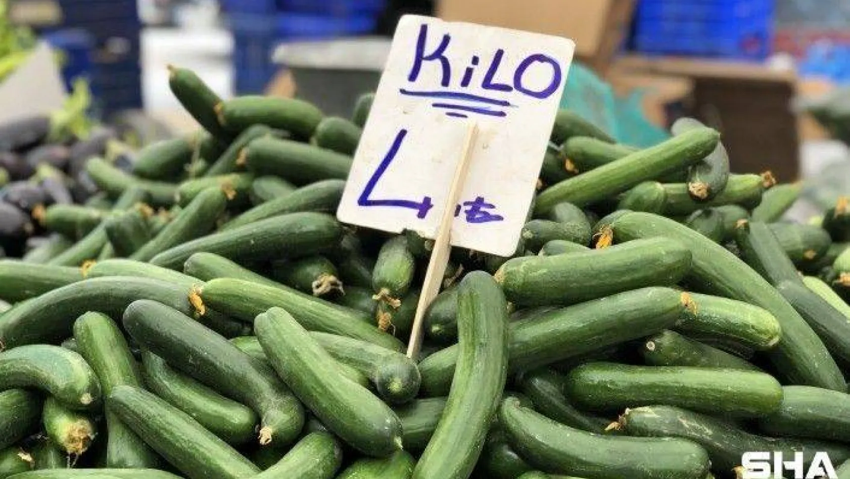 Ağustos'ta fiyatı en çok artan ürün olan salatalık 4 liradan alıcı buluyor