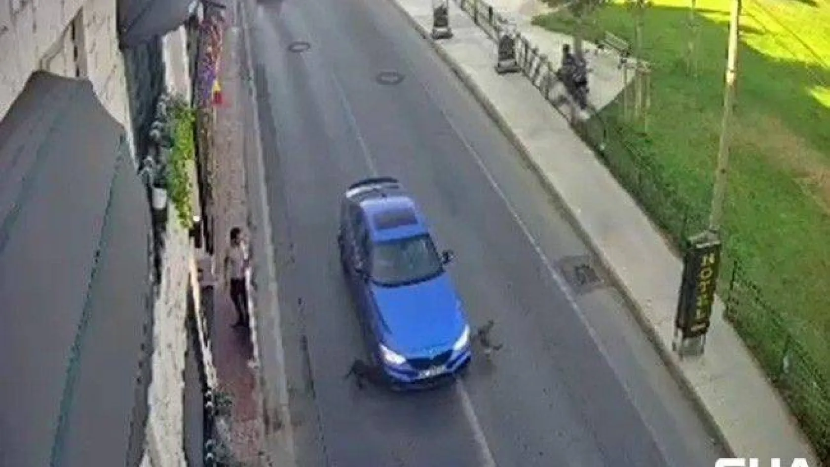 Bakırköy'de yolun karşısına geçmeye çalışan köpeklere otomobil böyle çarptı